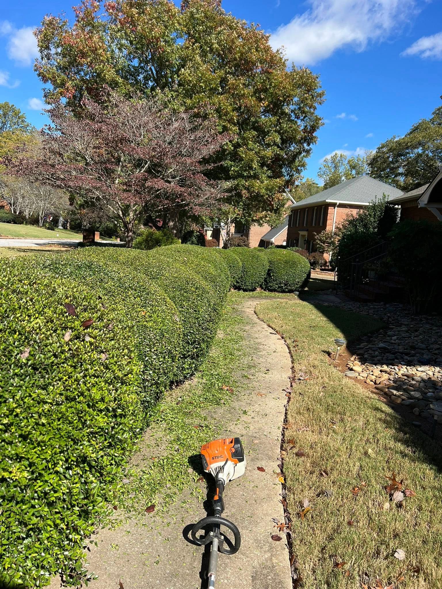  for Countryside lawn pros in Upstate, SC