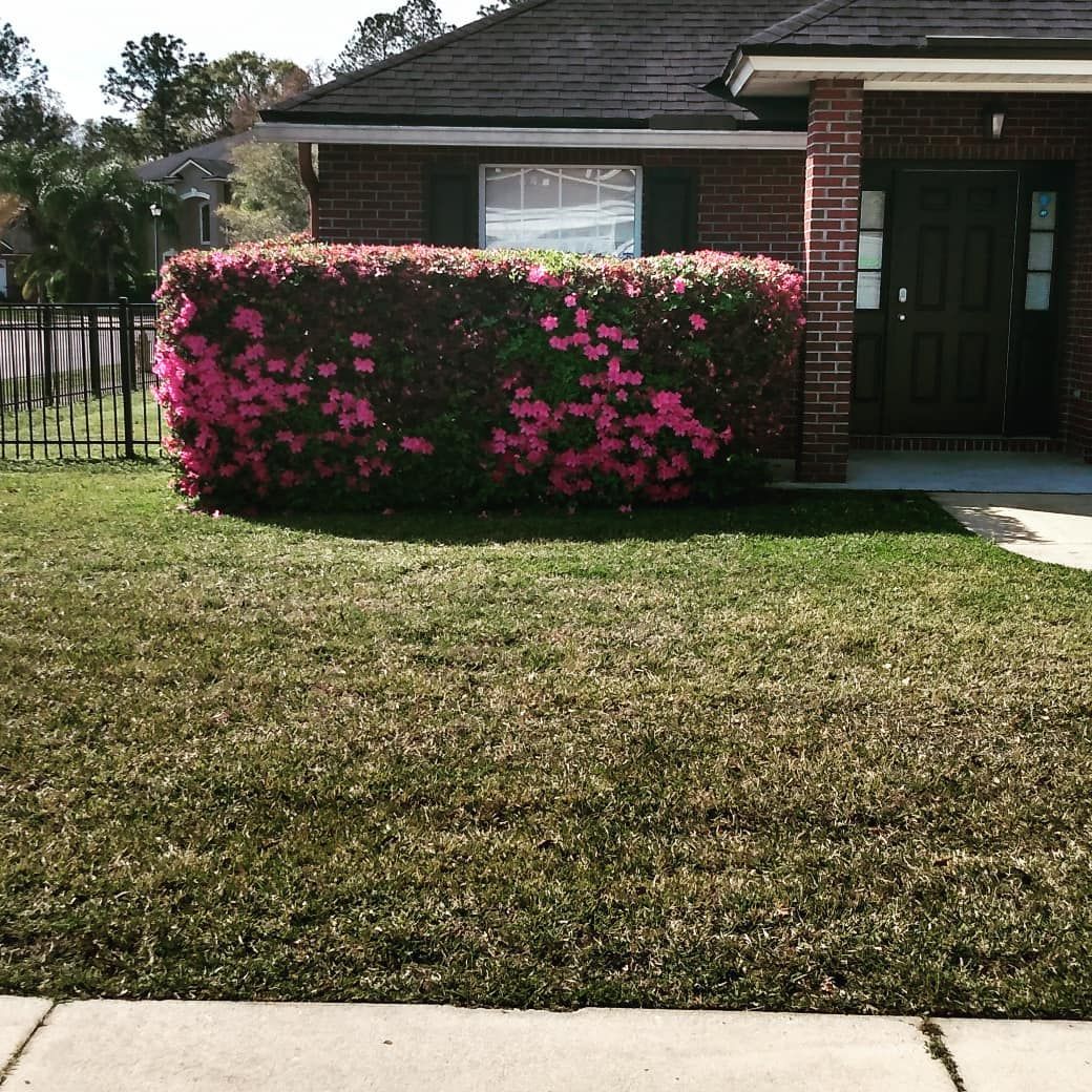  for Tugger and Son's Lawn Care in Jacksonville, FL