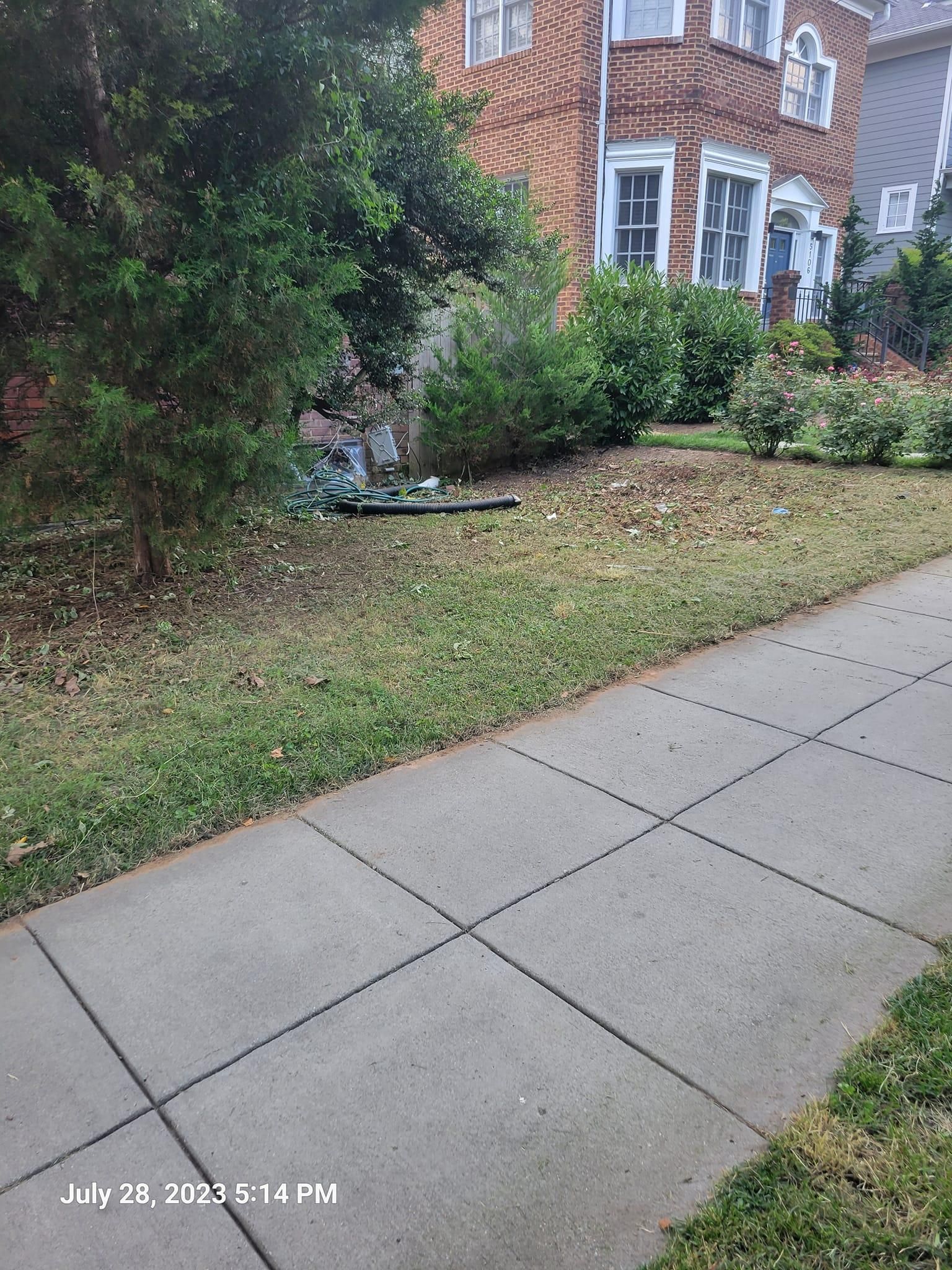 Fall and Spring Clean Up for Papayards in Arlington, VA