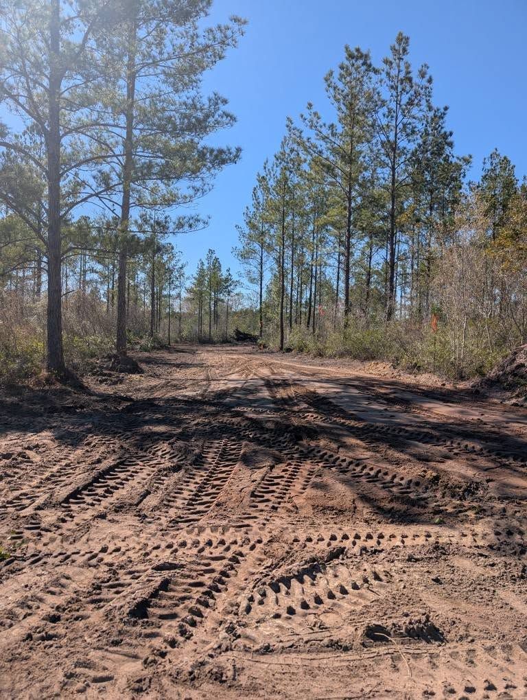  for TDWS Land Management in Blackshear, GA