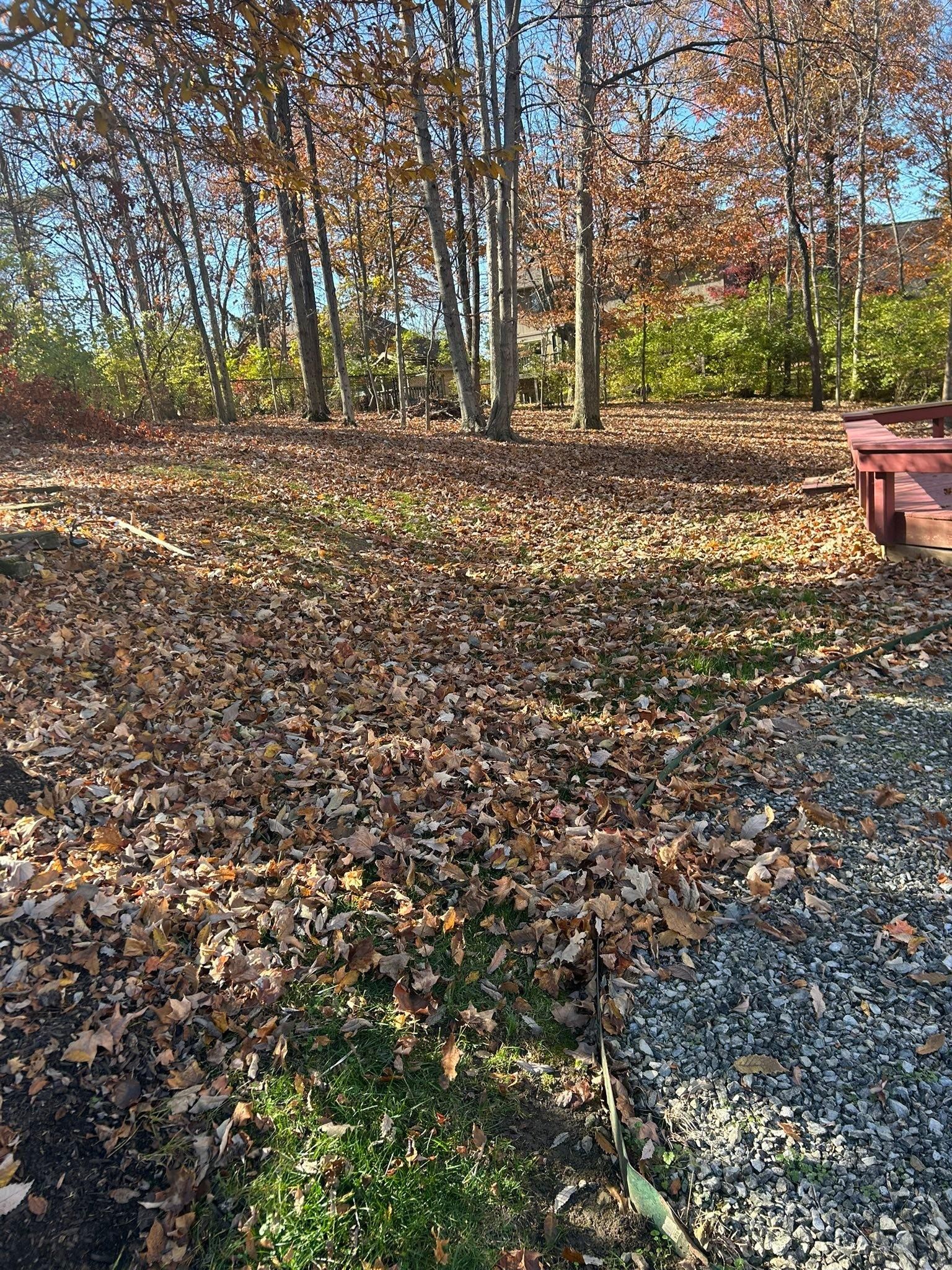  for Plenty Landscaping Solutions in Indianapolis, IN