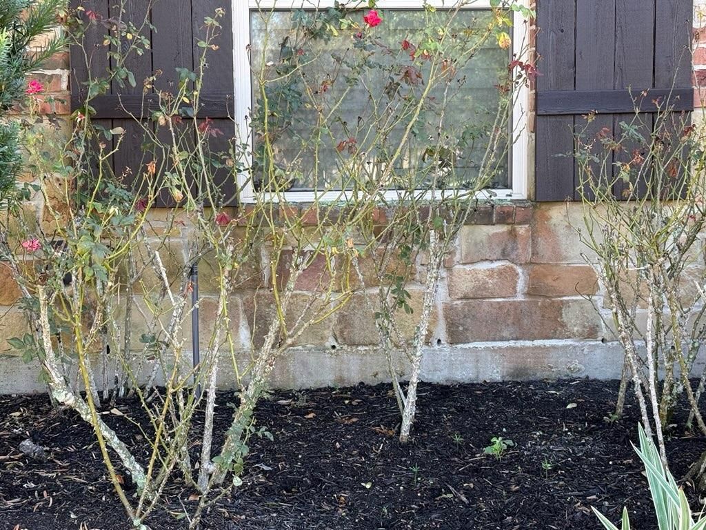  for Power Pressure Wash in Houston, TX