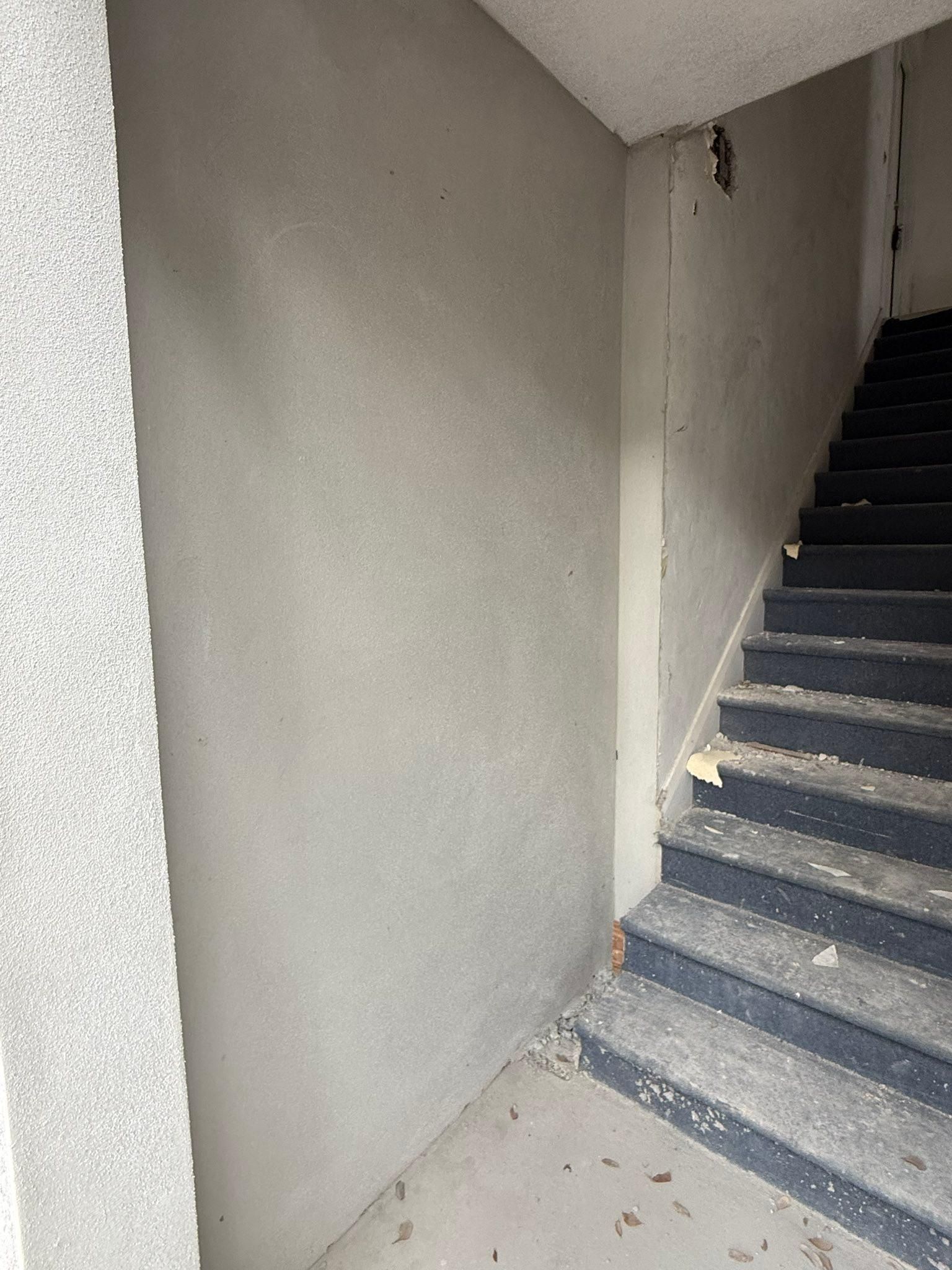  for Escorpio Painting in Tampa, FL