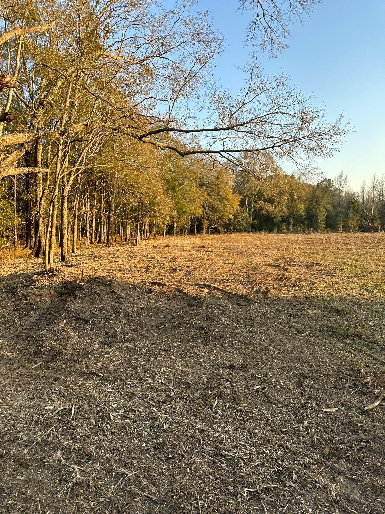  for White’s Land Maintenance in Milton,, FL