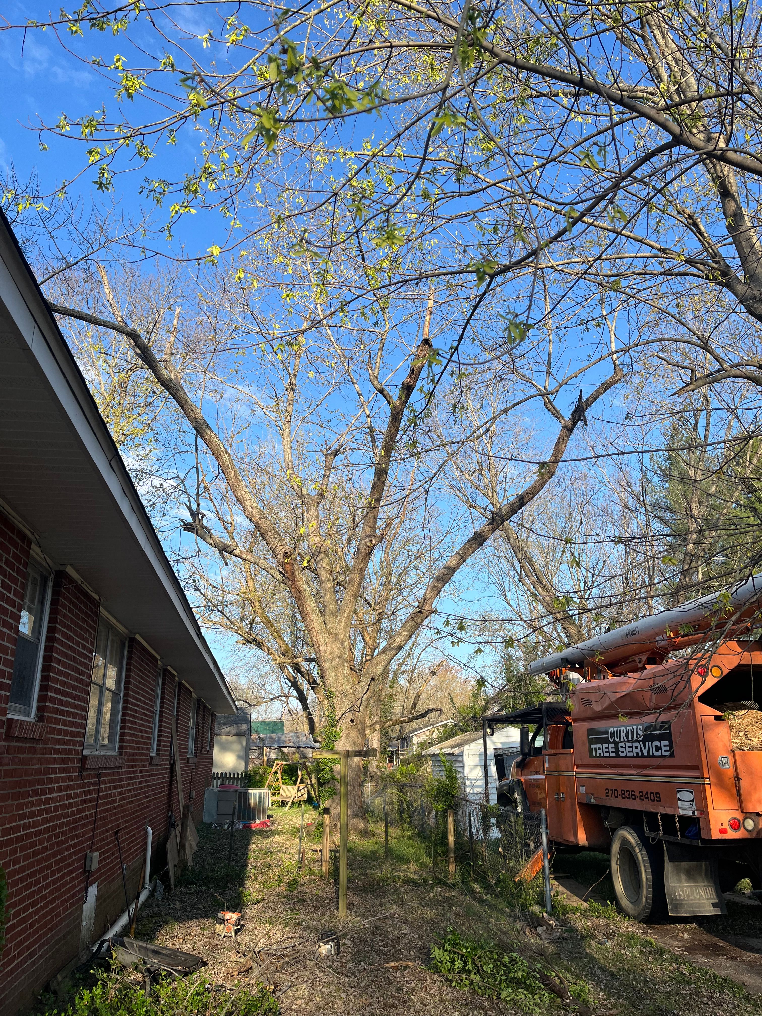  for Curtis Tree Service LLC in Hopkins County, KY