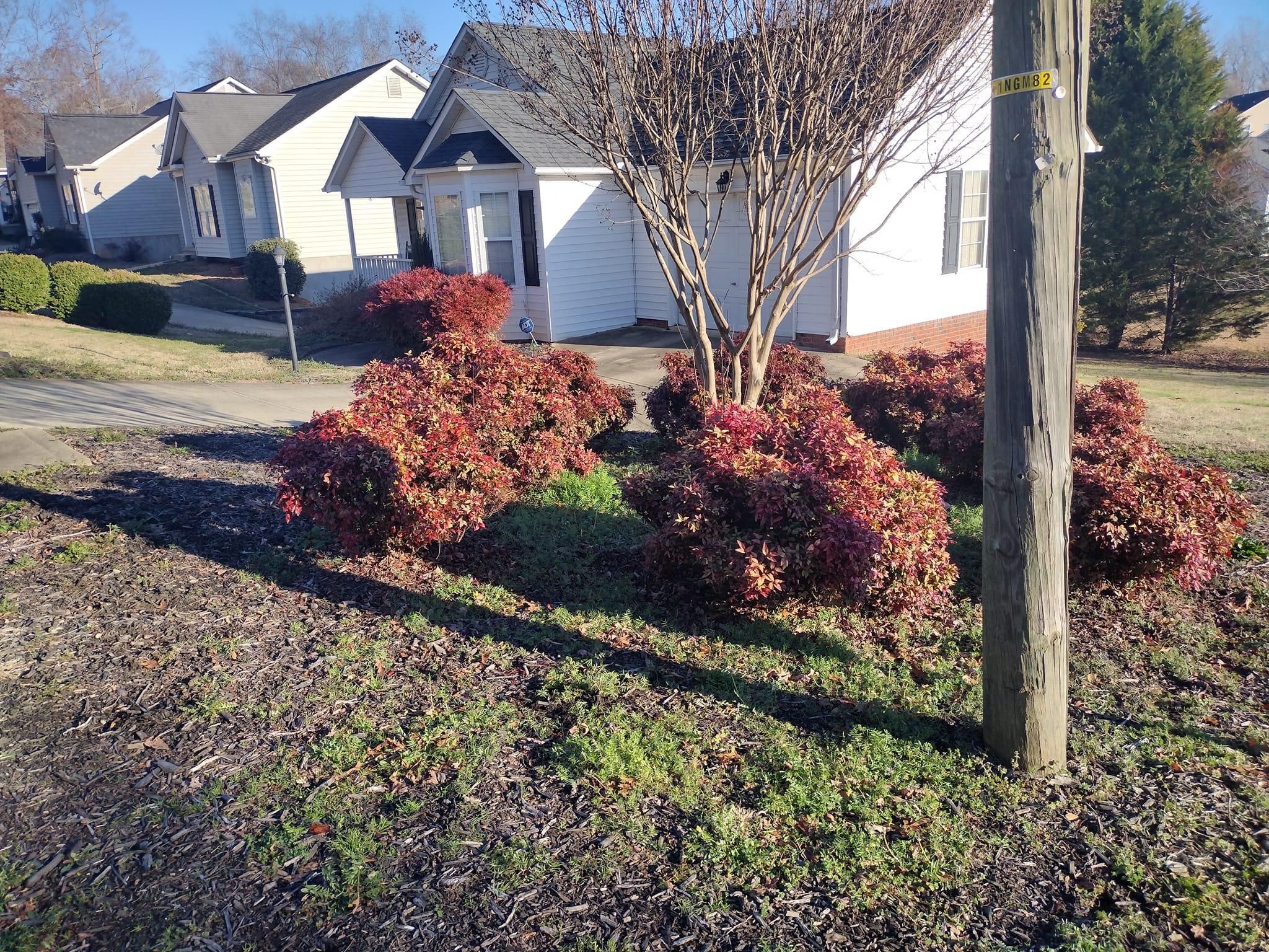  for Palmetto Cuts Lawn Care LLC in Simpsonville, SC