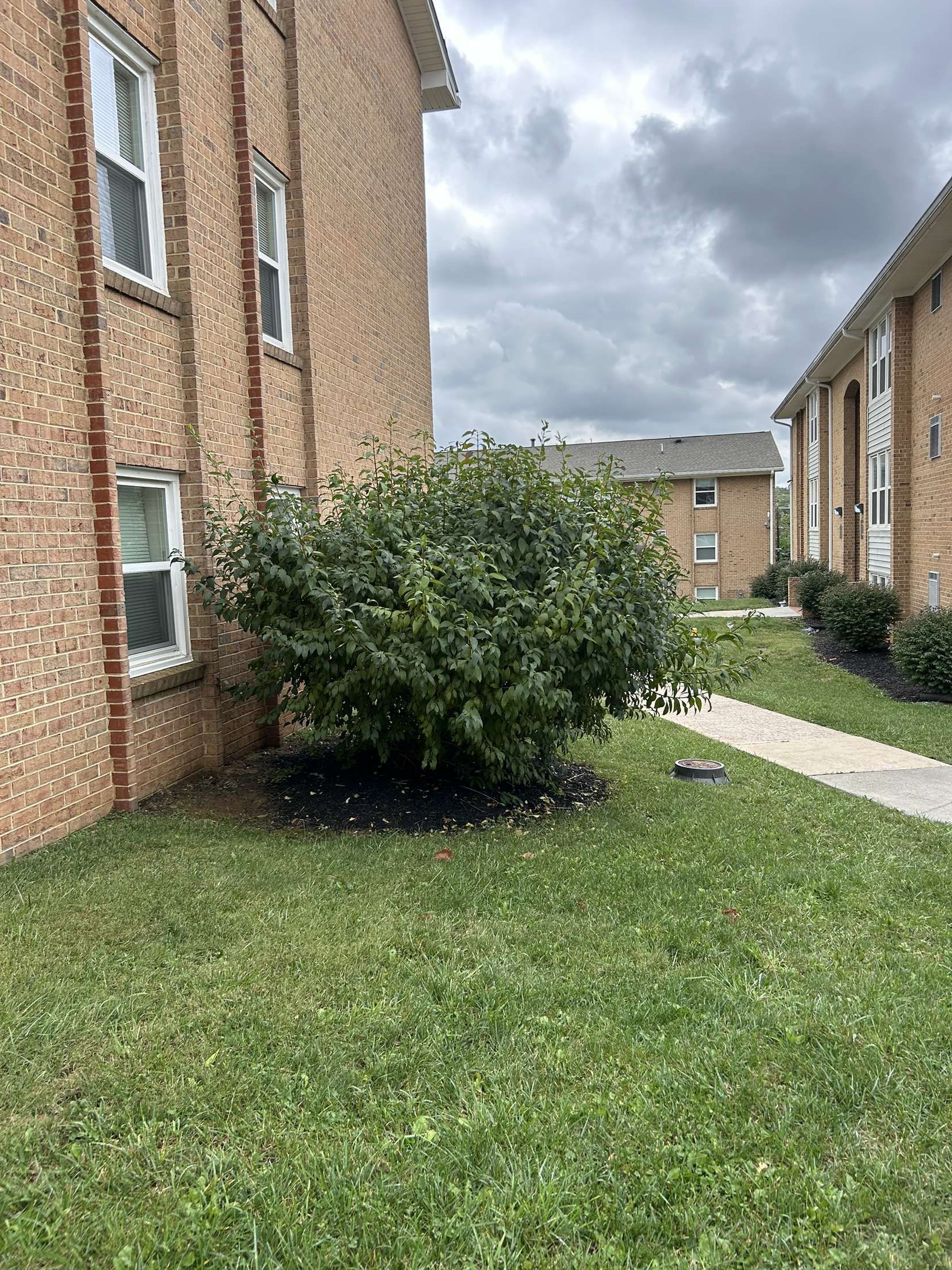  for Lakeside Landscaping  in Gordonsville, VA