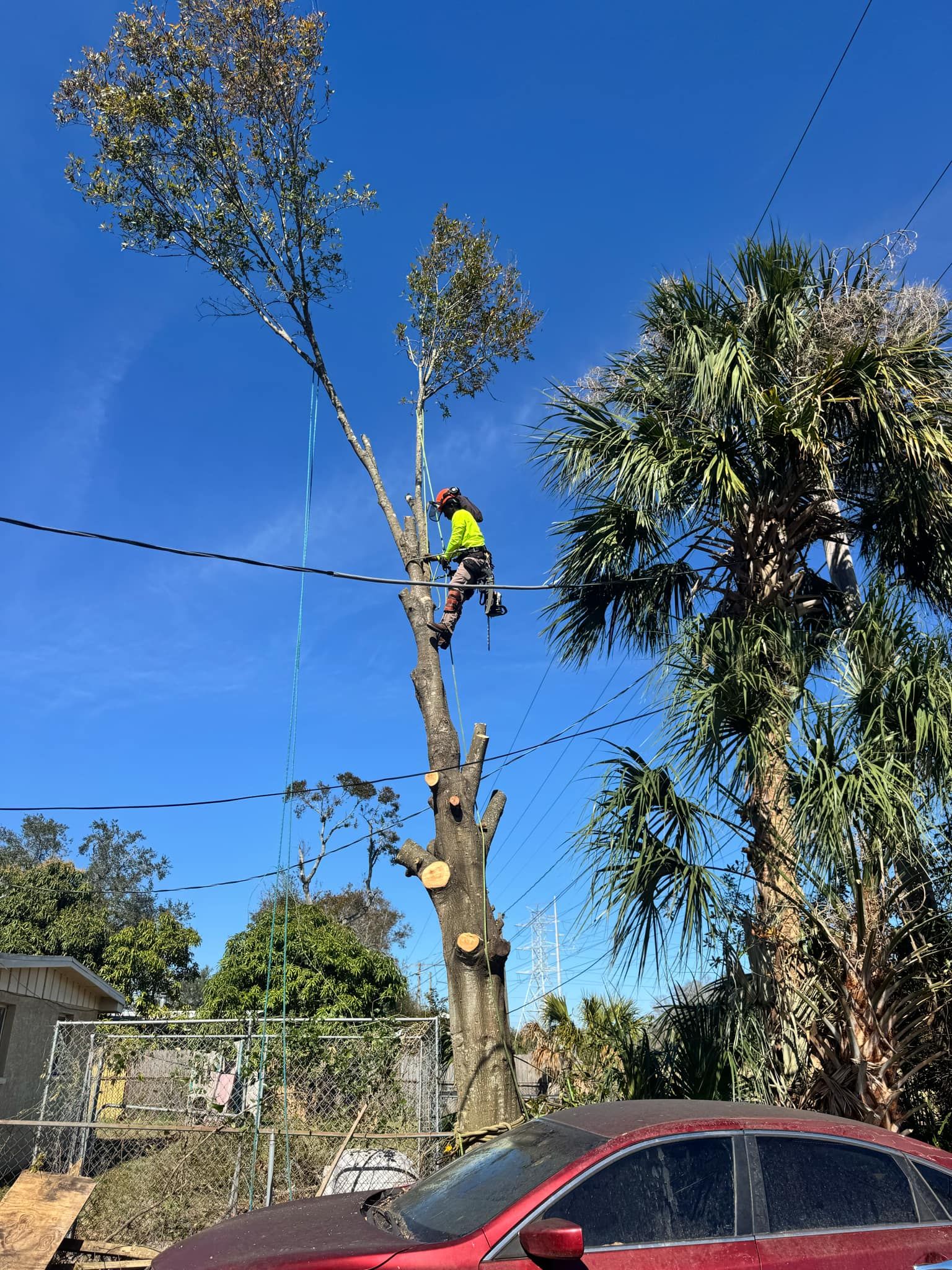  for Broadway Tree Care in Inverness, FL