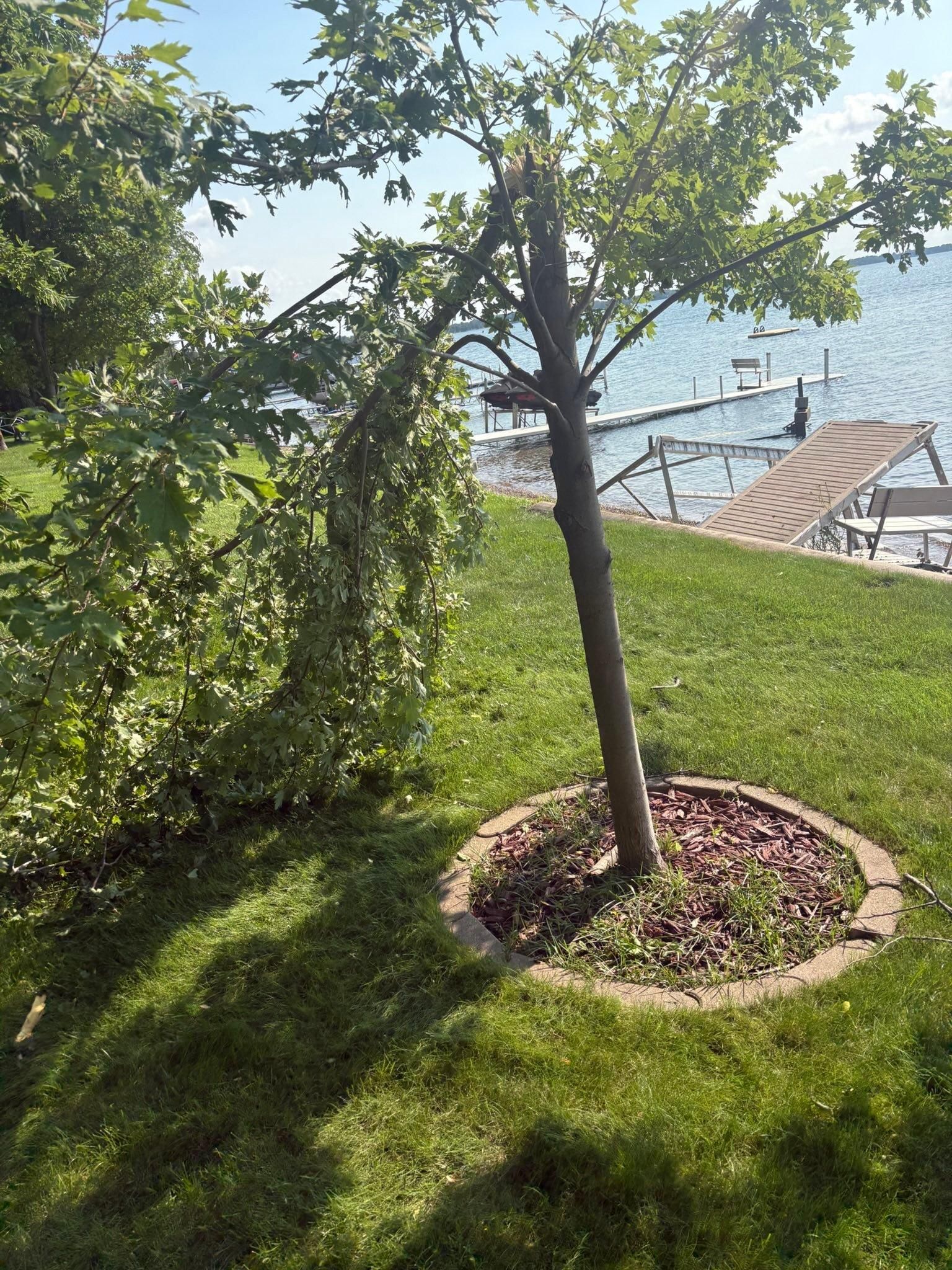  for Premier Services in New London, MN