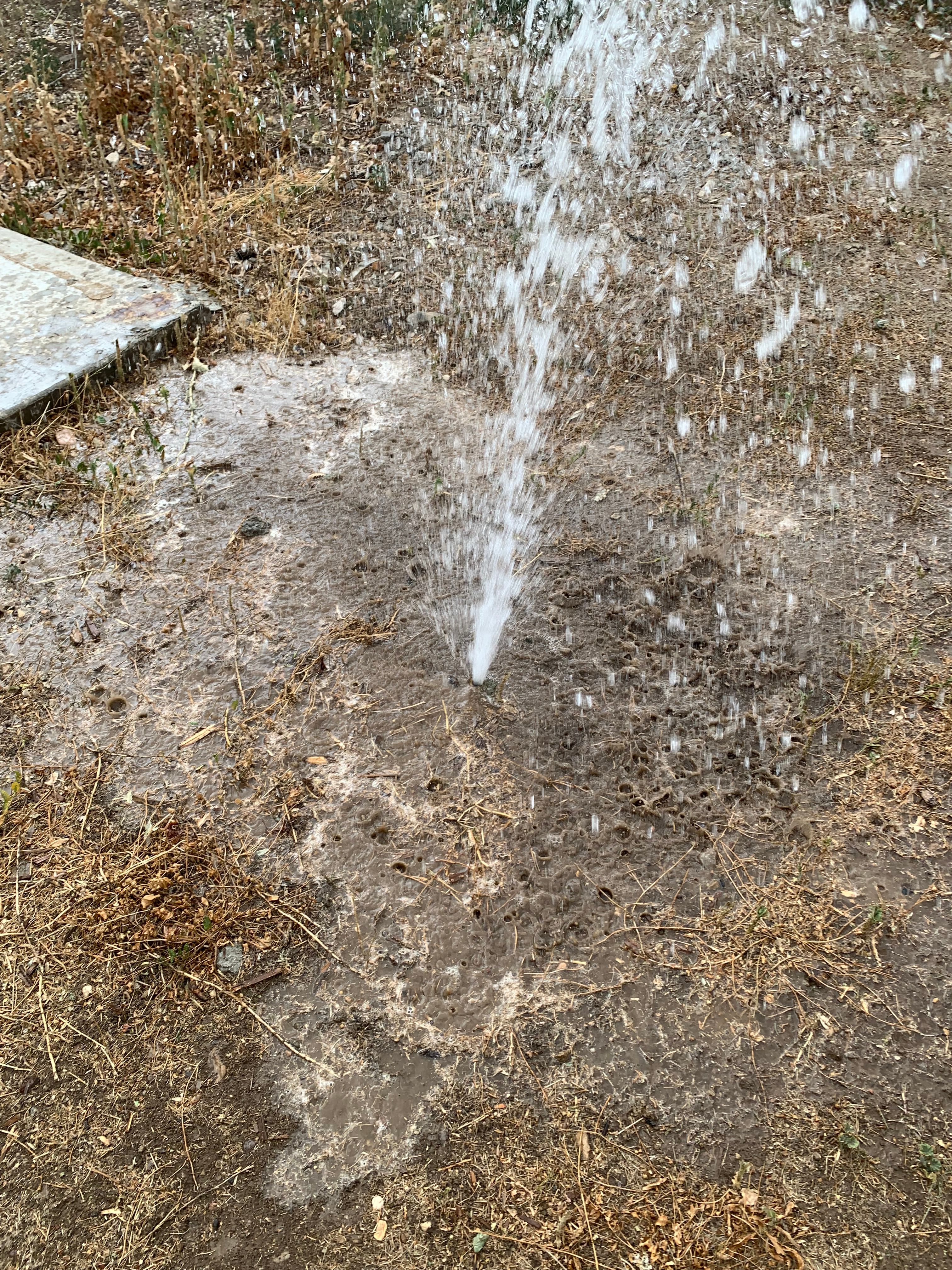  for Platinum Lawn Service in Santaquin, UT