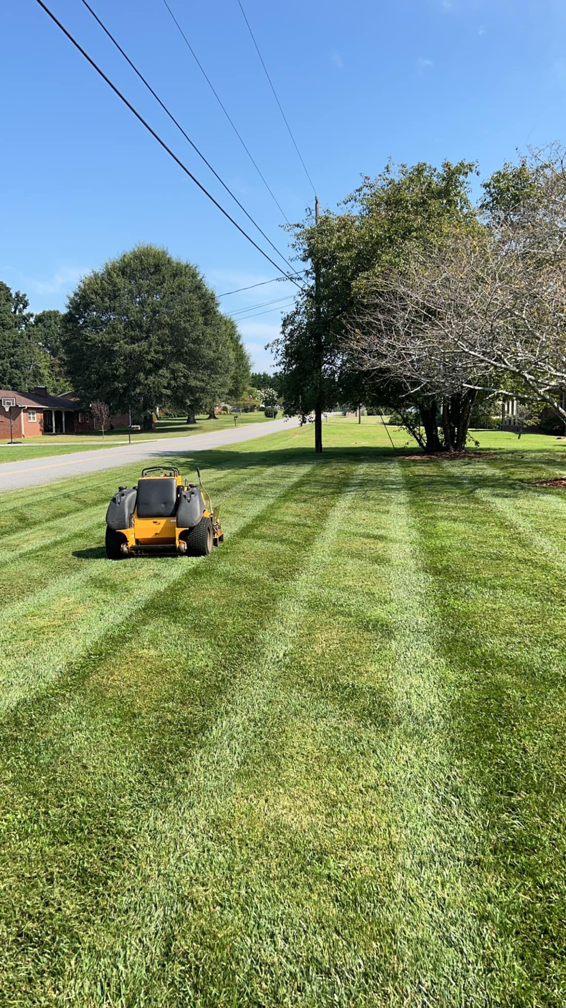  for Cook's Lawn & Landscaping in Taylorsville, NC