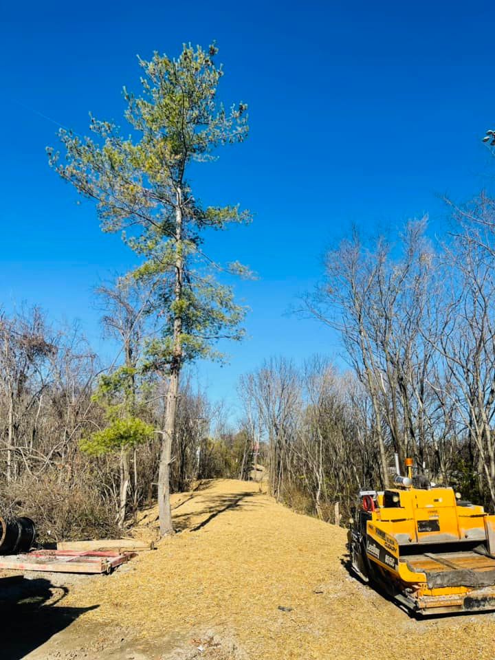  for Mountain Land Services LLC. in Oneida, TN