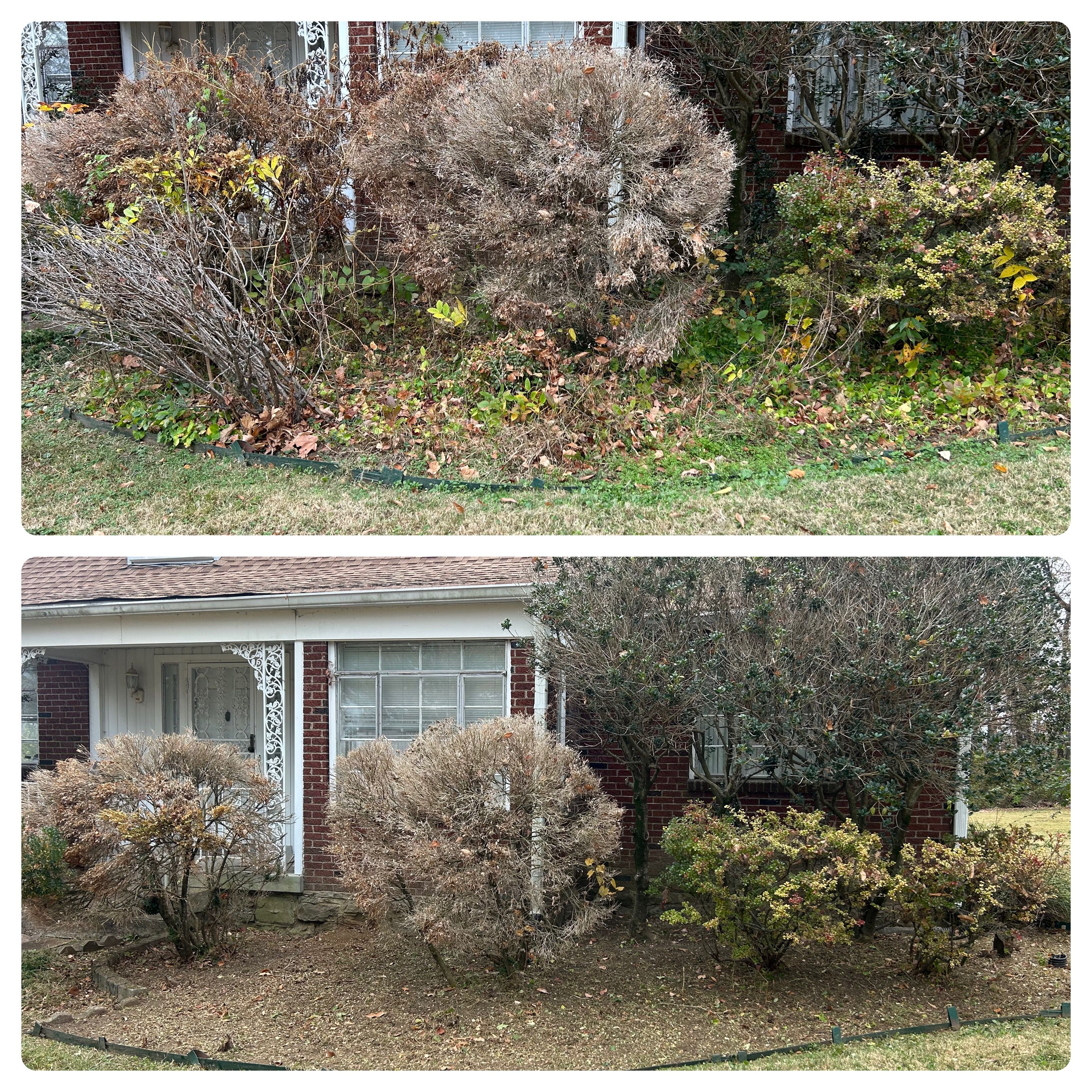  for Bellevue Lawn and Landscaping in Bellevue,  TN