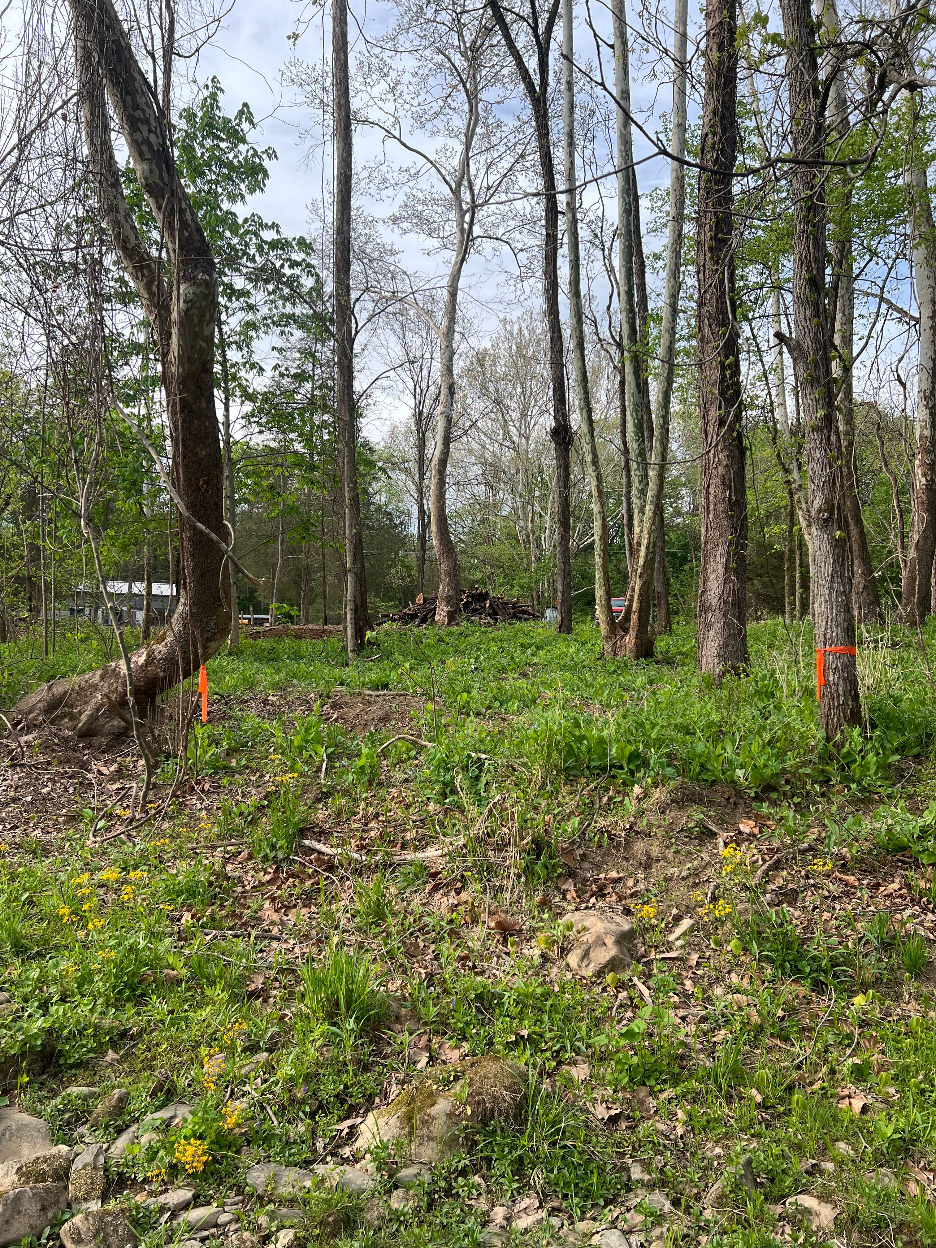 All Photos for Clarke Excavation Co. in Covington, VA