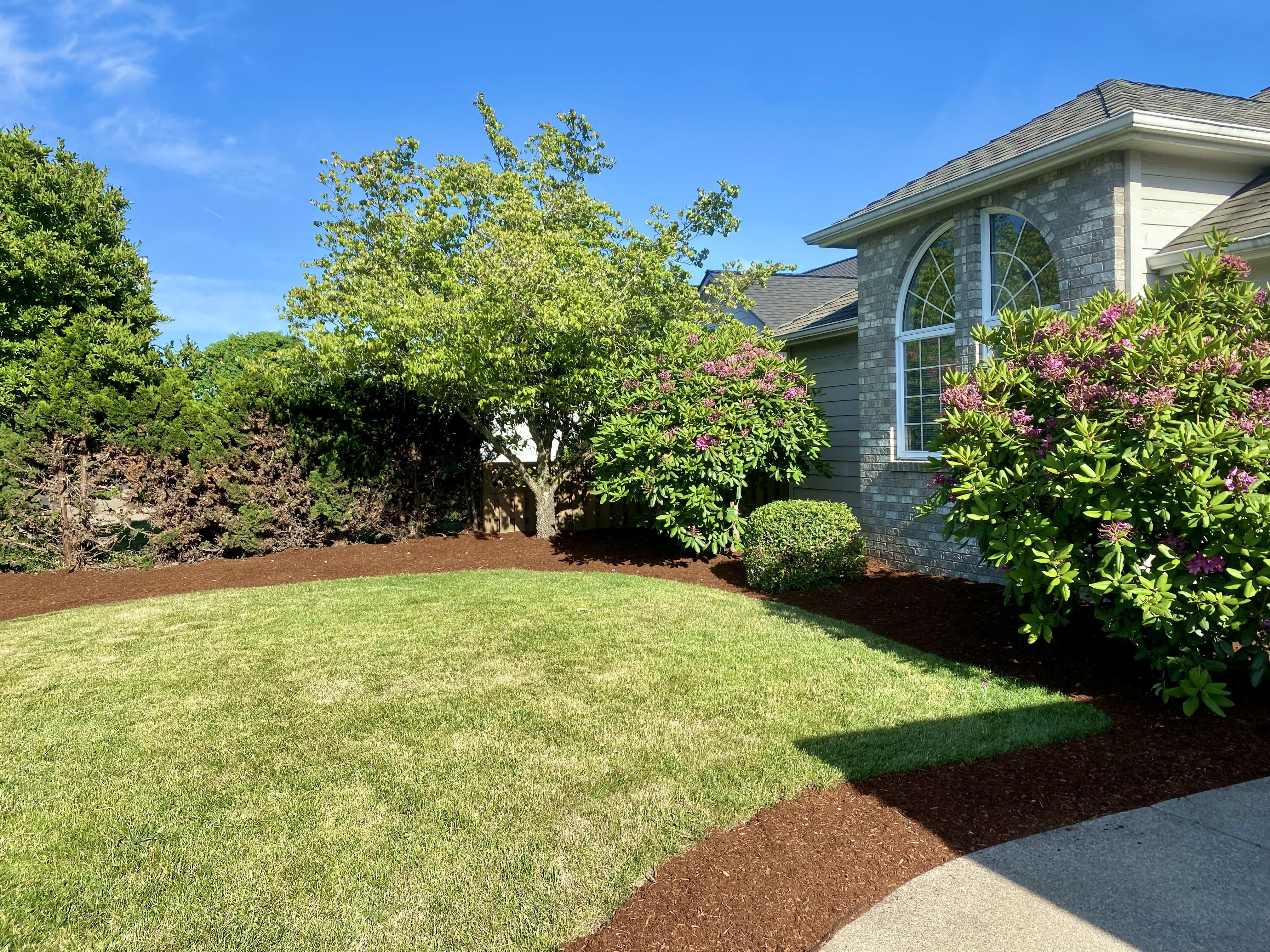  for Willamette Landscaping & Tree Services in Albany, OR