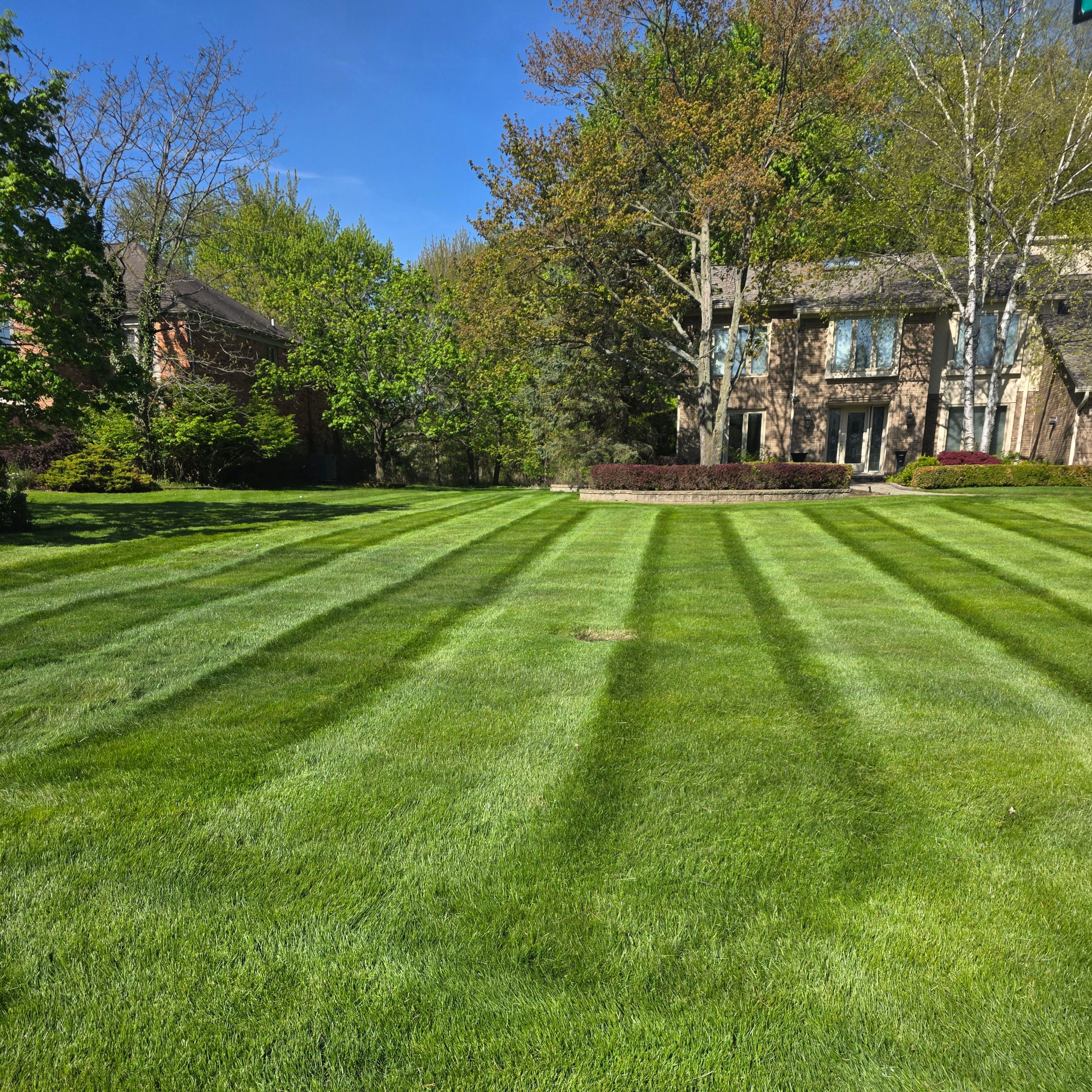  for Ivy Lawn and Landscaping in Oxford, MI