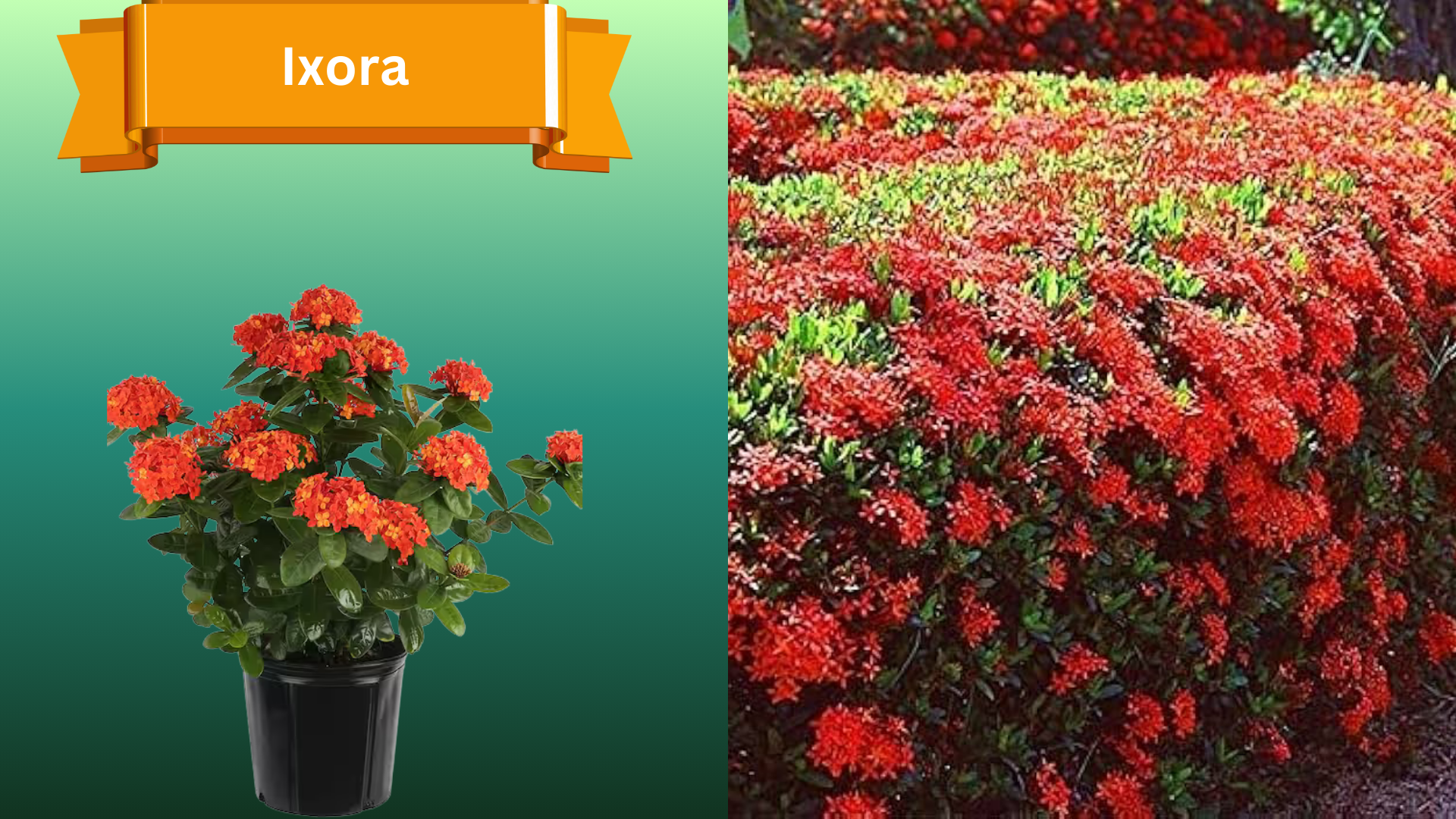  for R.B. & Company in Belleview, FL