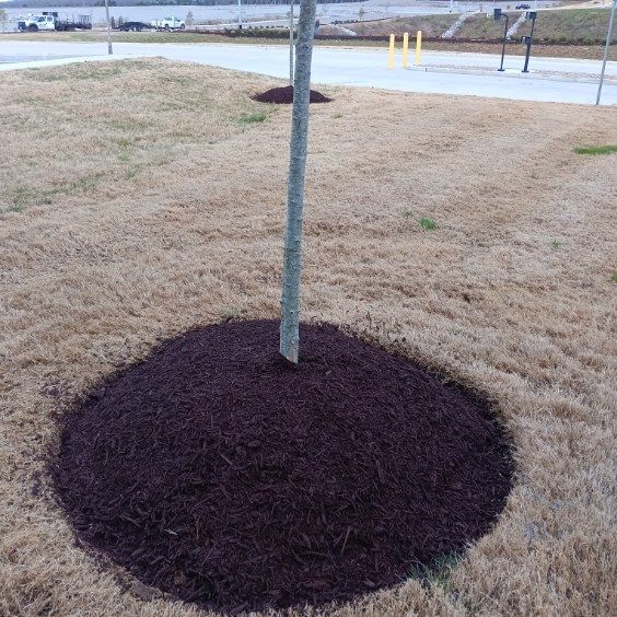  for The Right Price Right Choice Lawn Care Services in Murfreesboro, TN