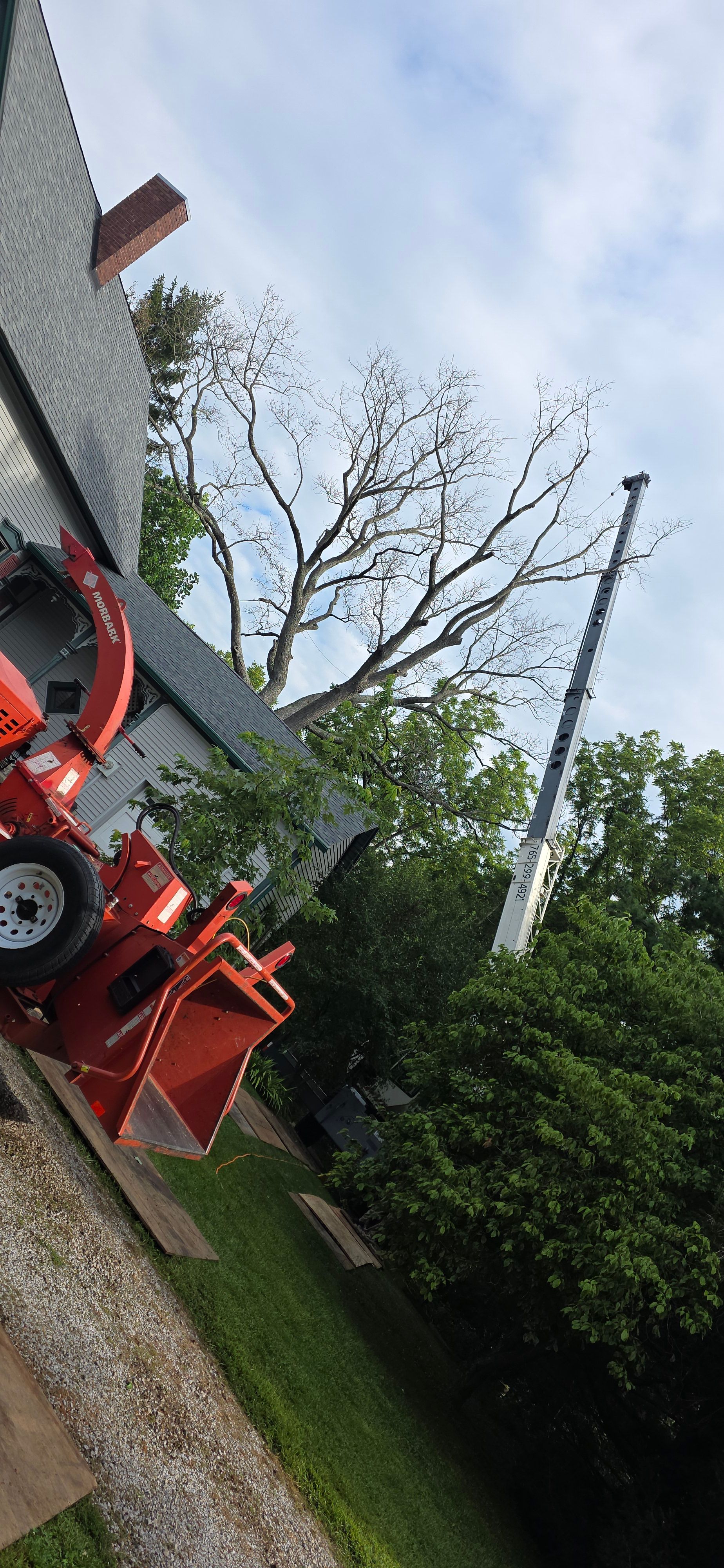  for Advanced Tree Solutions in Rockville, IN