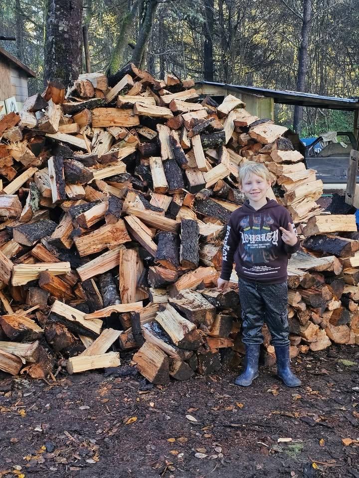Tree Removal for Trio Tree Services in Ocean Park, WA