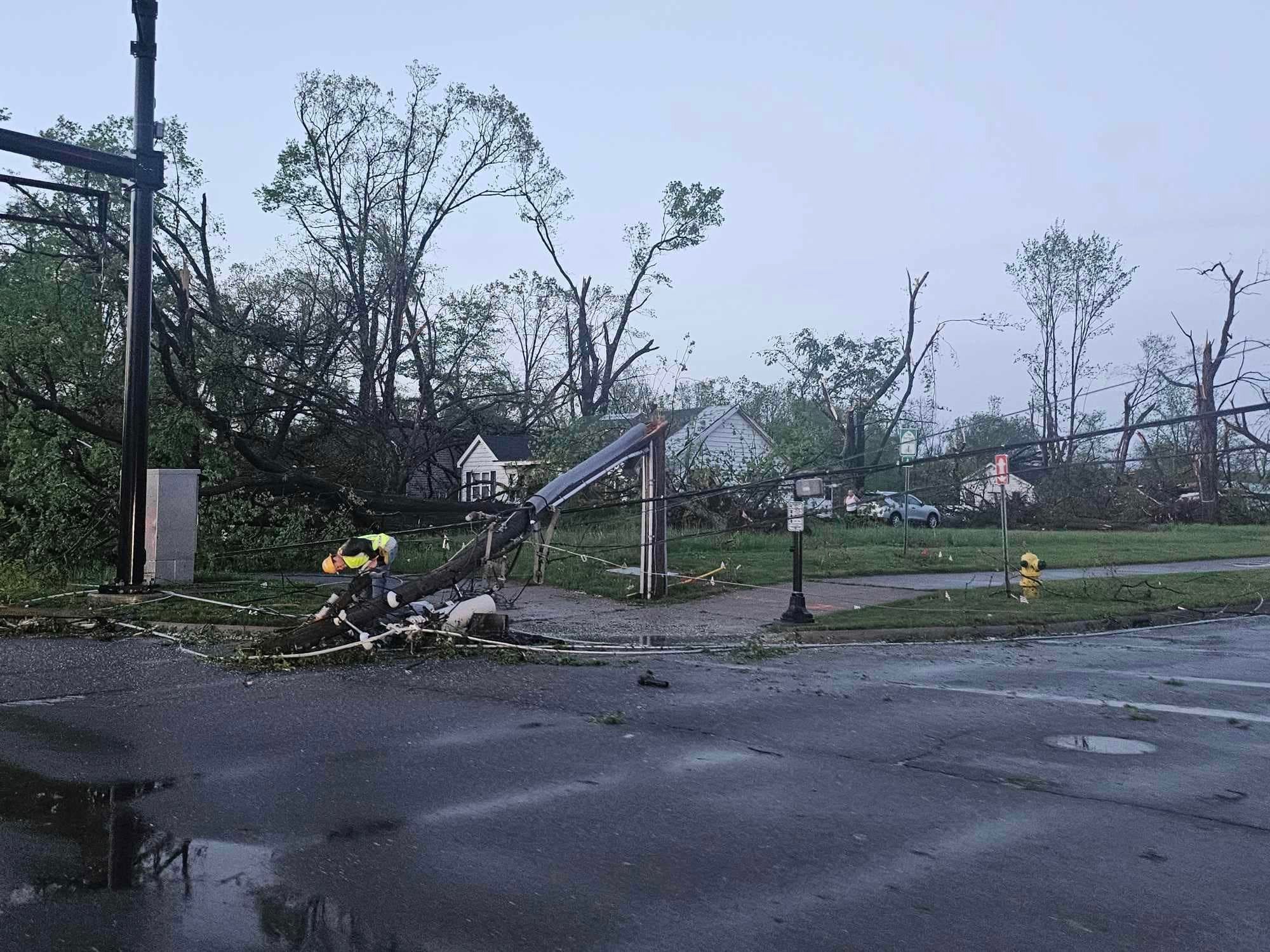  for Branching Out Tree Service in Hastings, MI