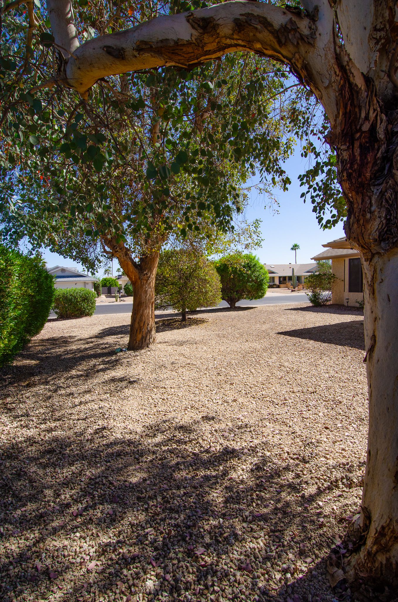 All Photos for Citiscapes, LLC in Phoenix, AZ