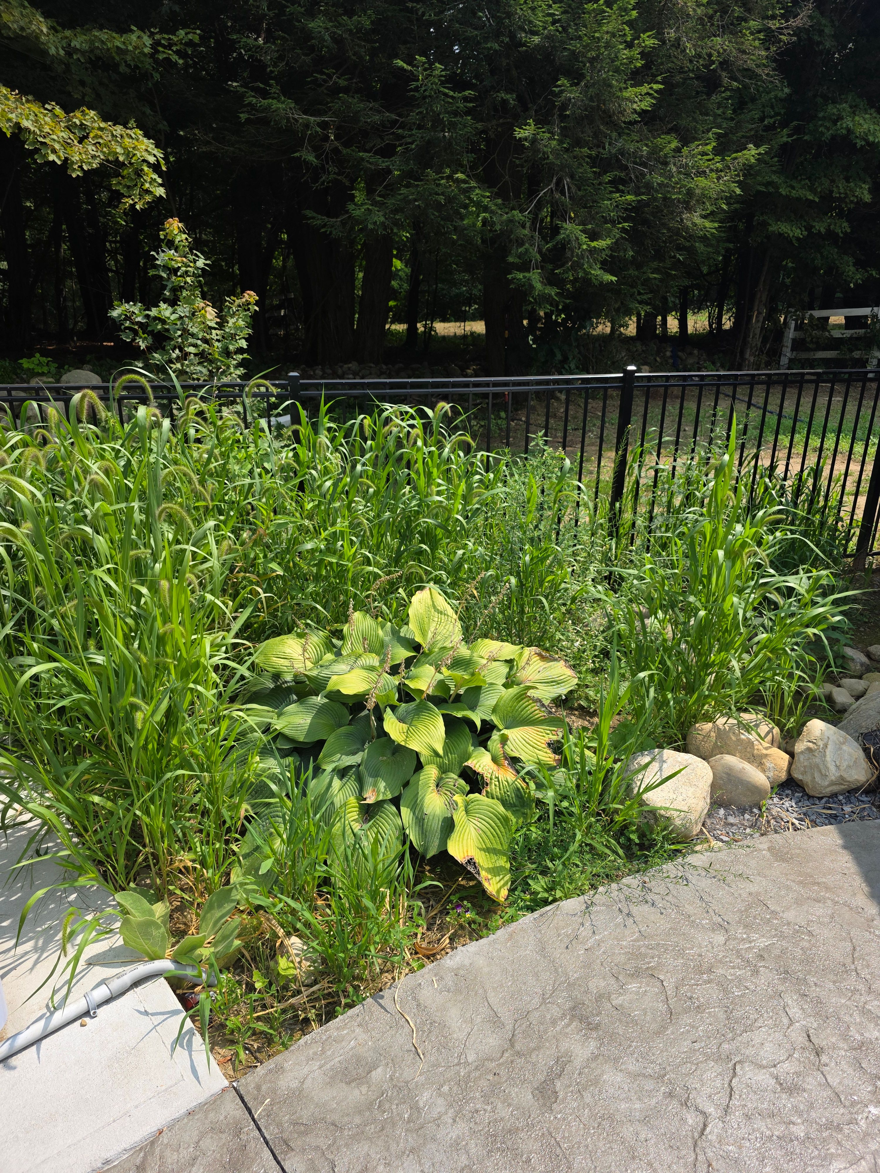  for Sweet Scapes in Ballston Spa, NY
