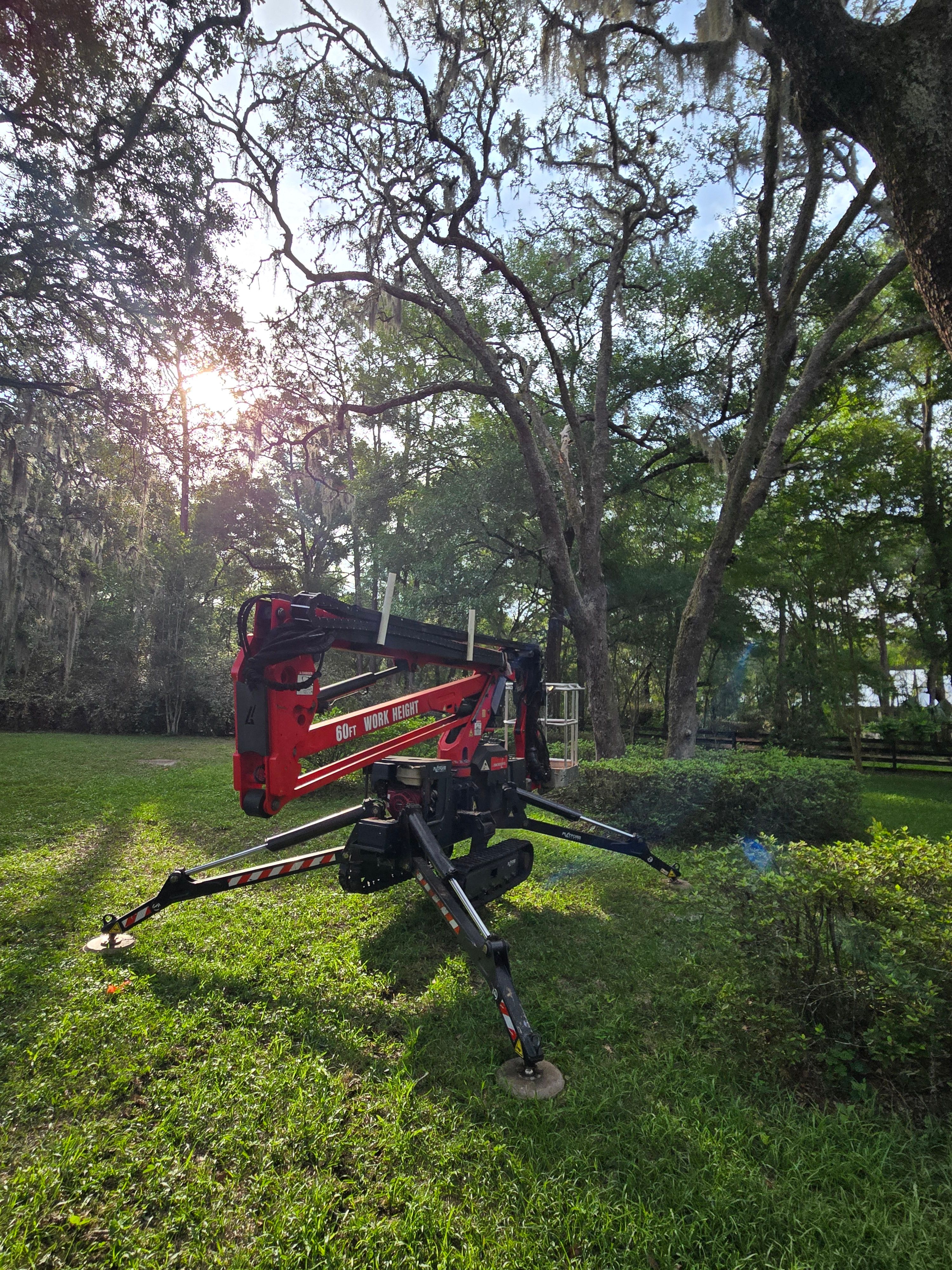 All Photos for Near Me Tree Service, Inc. in DeLand, FL