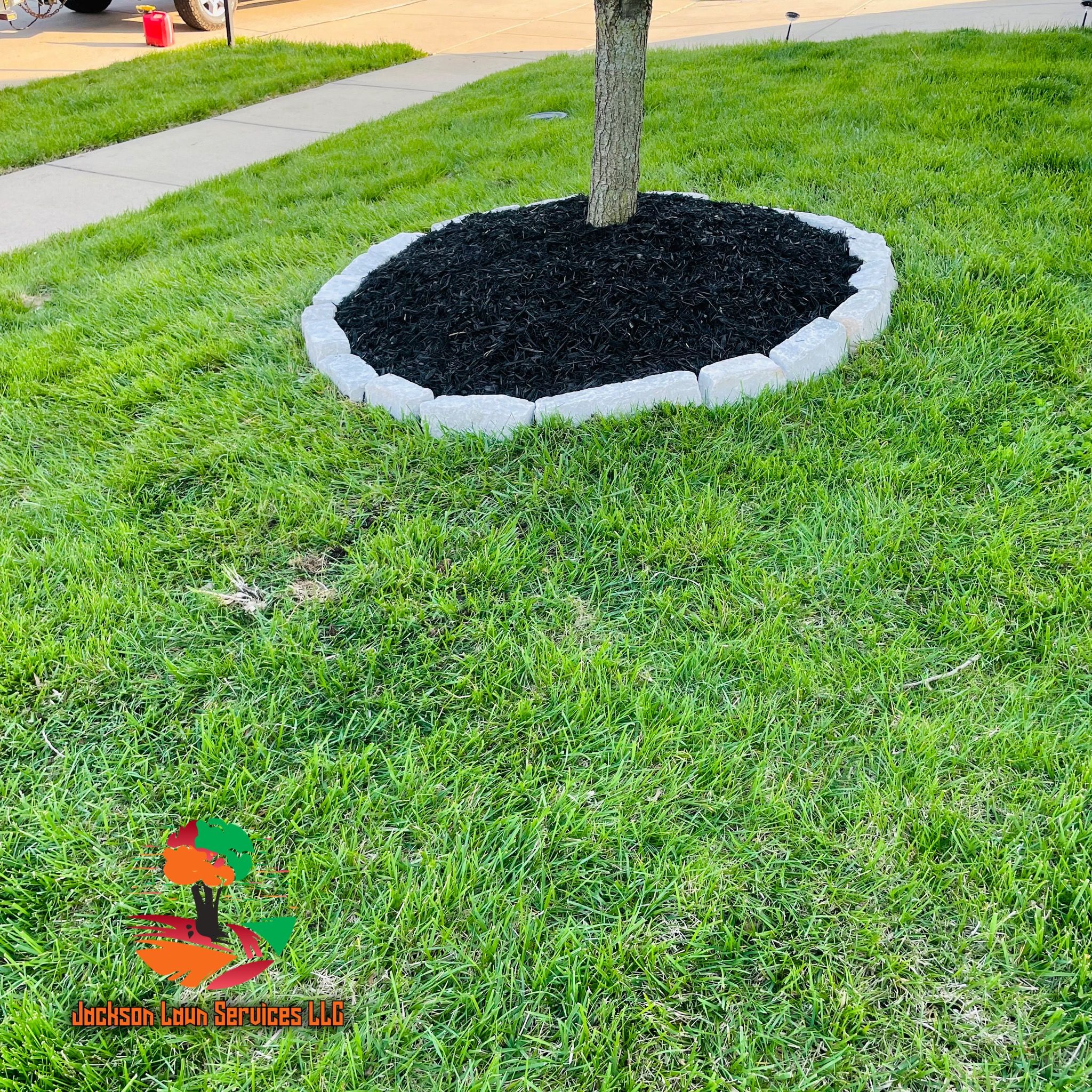  for Jackson Lawn Services LLC in St Louis, MO