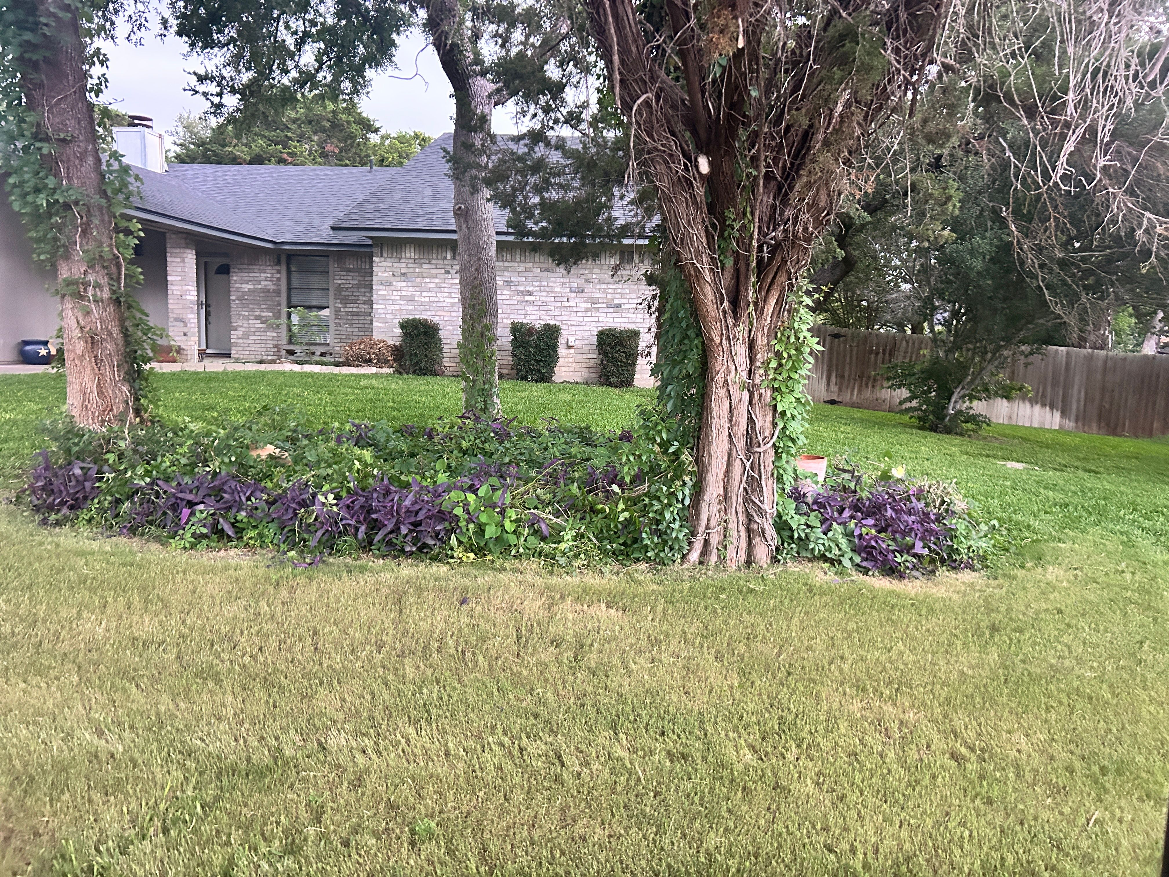  for D’s Lawncare in Killeen, TX