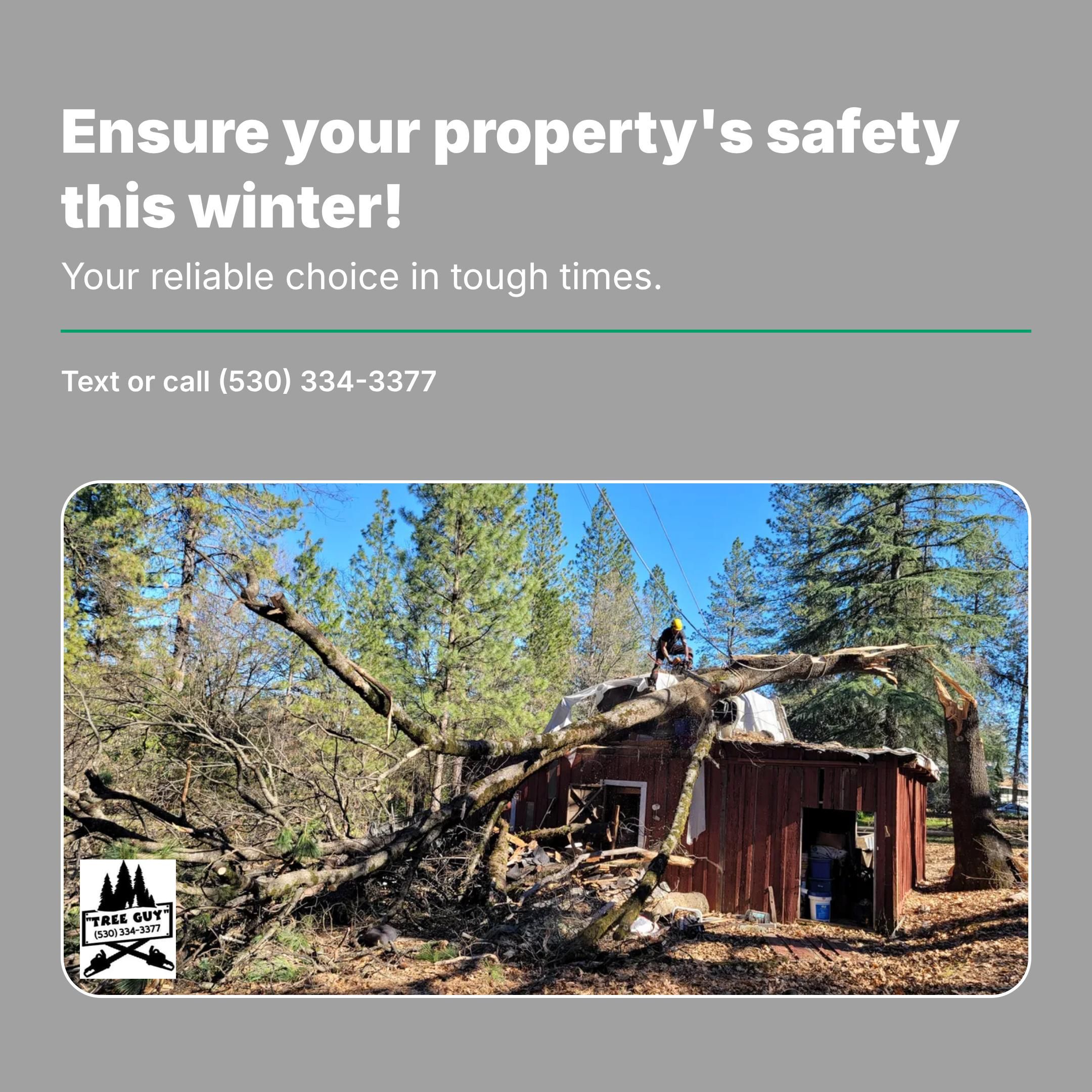  for George Staddan's Professional Tree Care in Placerville, CA