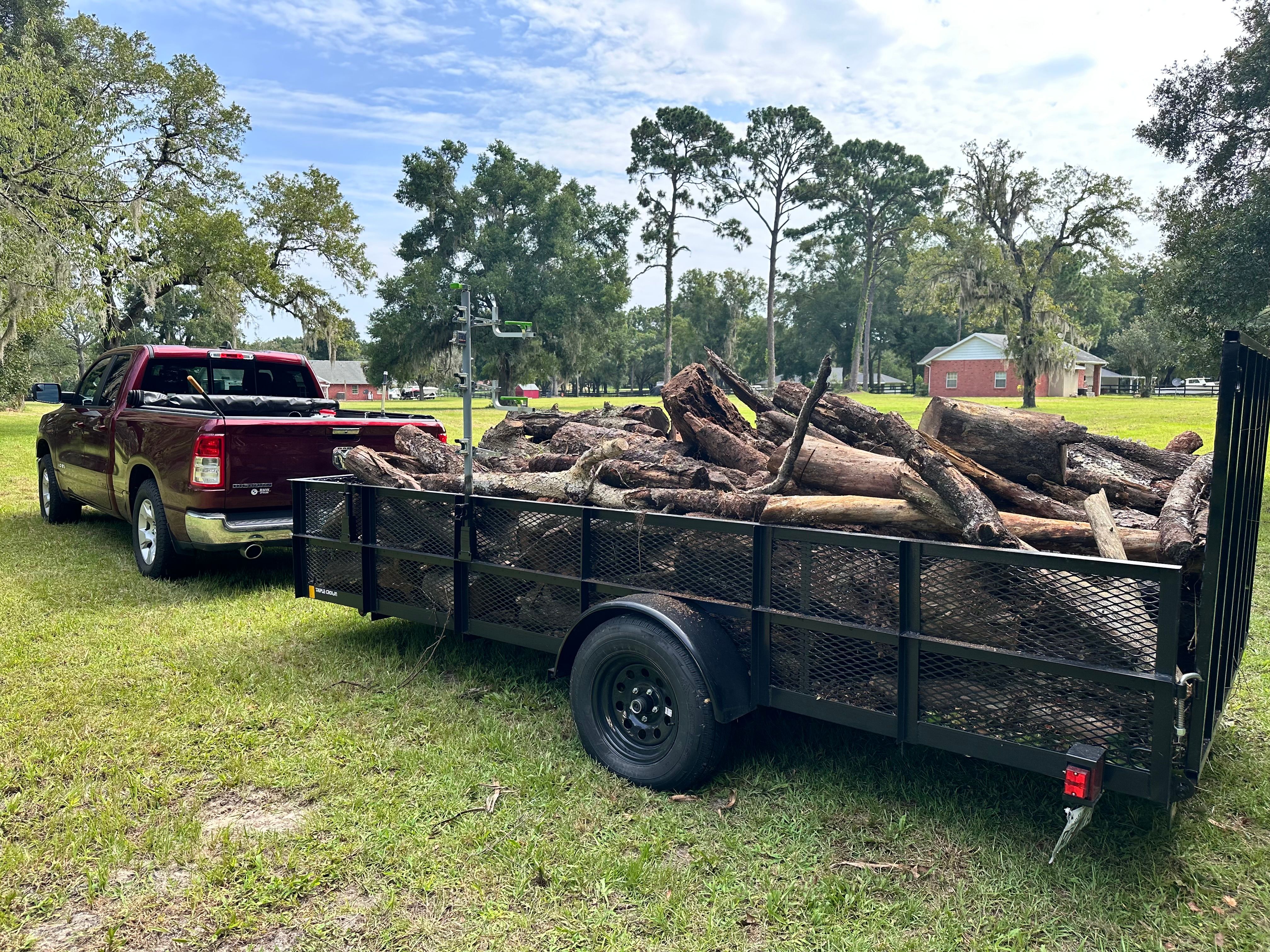  for Tree Amigos Tree Service in Ocala, Fl