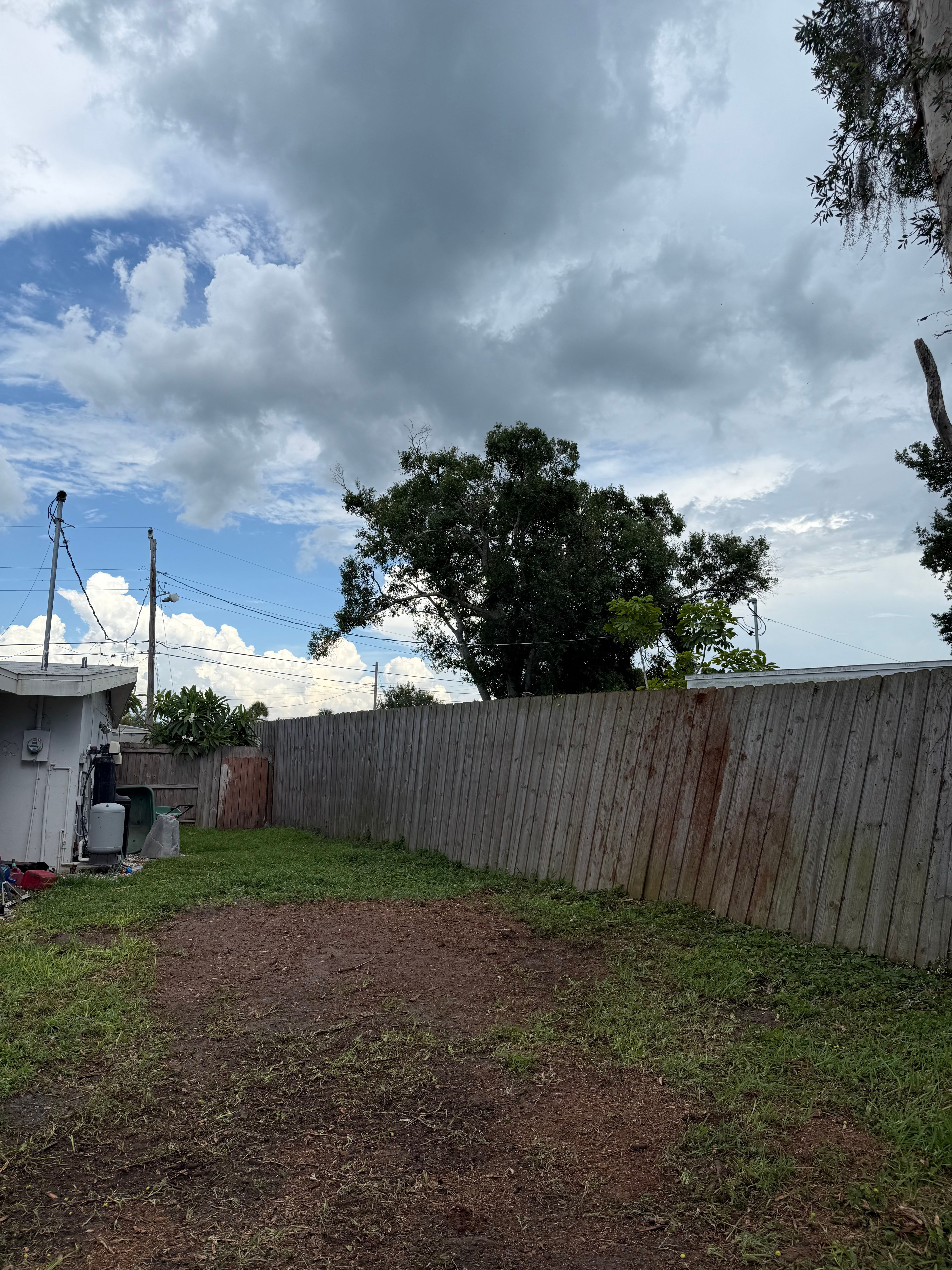  for Damian’s Tree Care in Sarasota, FL