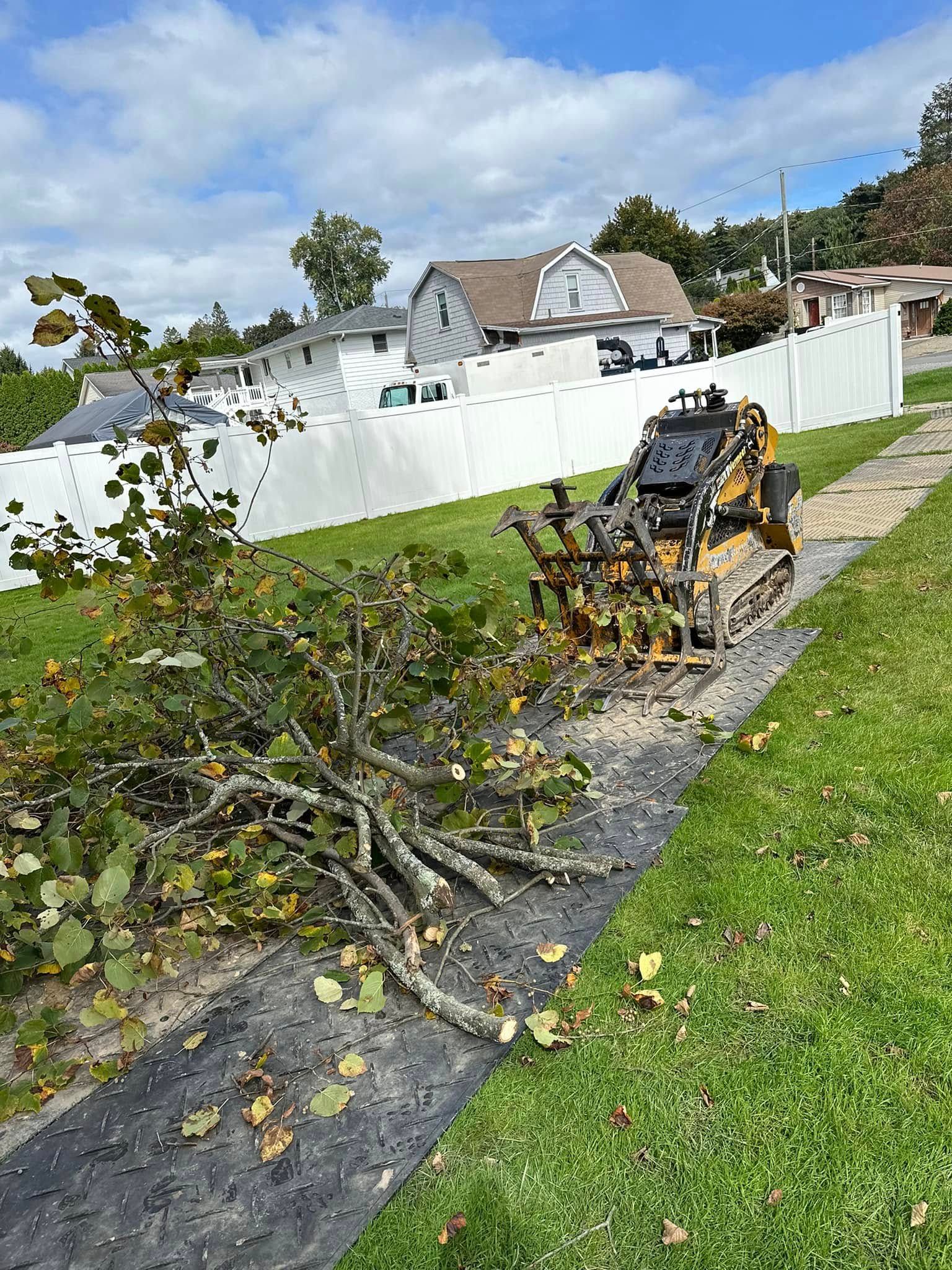  for All American Tree Services LLC in Dallas, PA