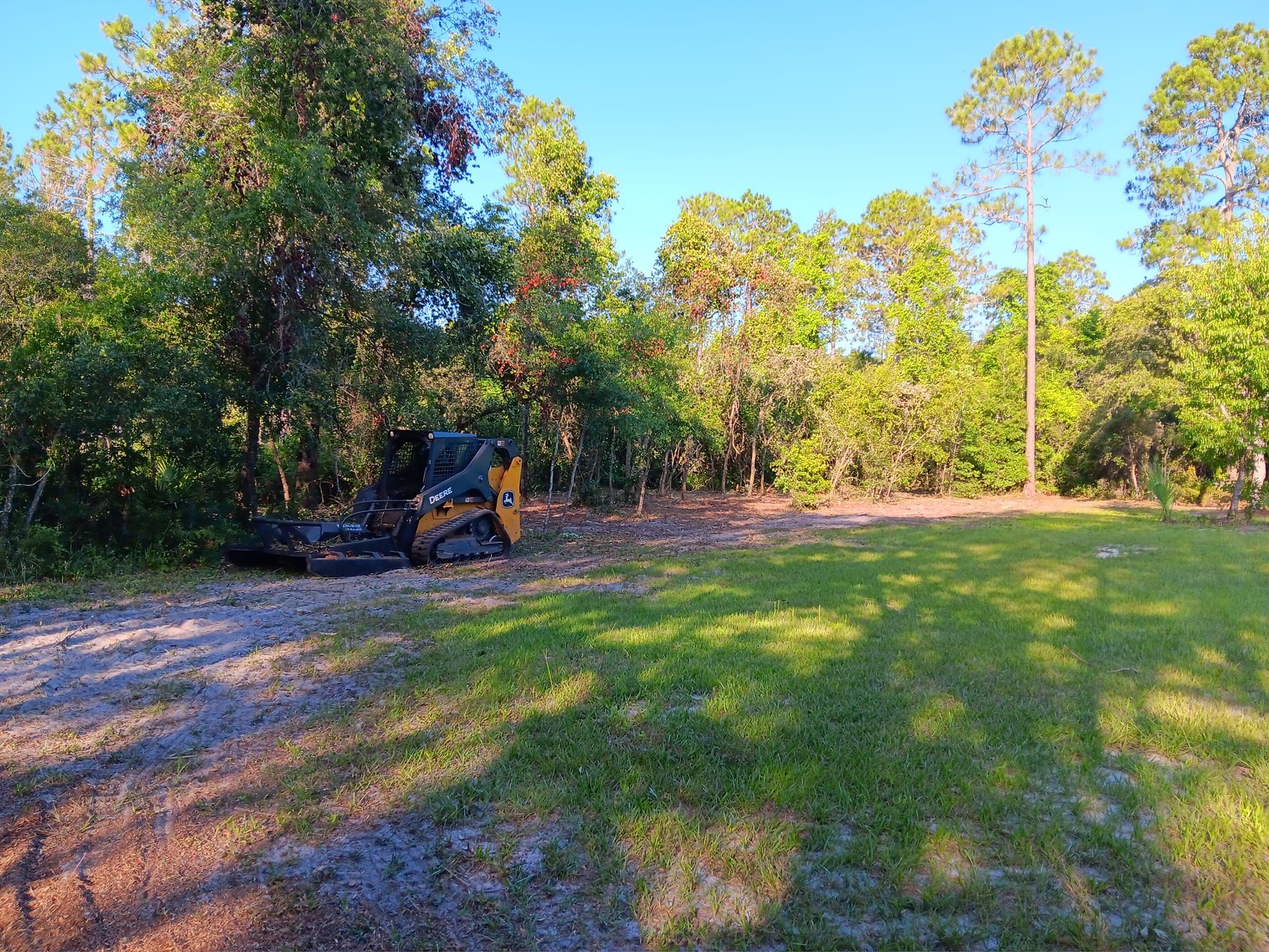 Tree Removal for Asbell's Tree & Land Services in Gilchrist County, FL
