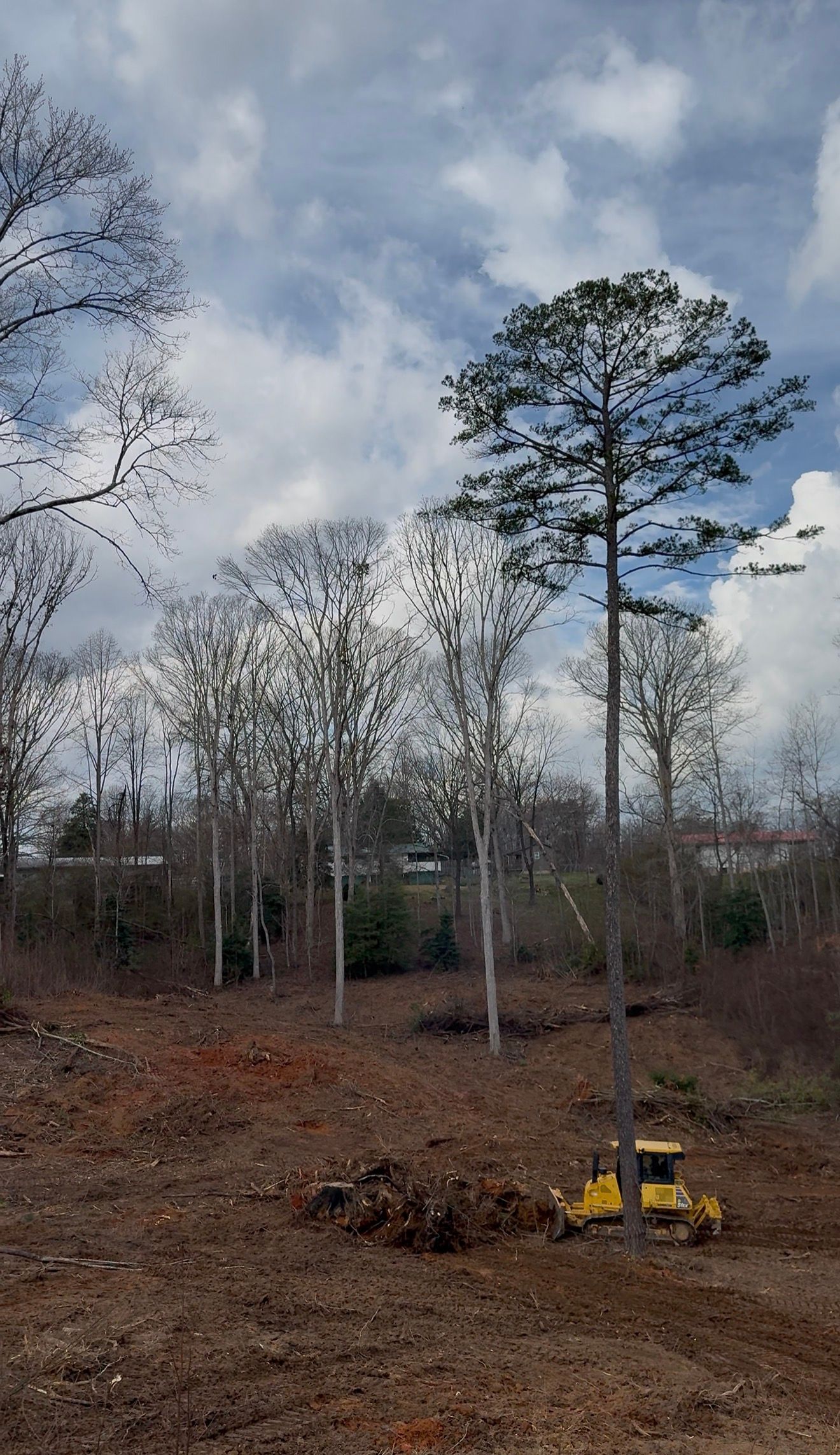 All Photos for Pope Home Services in Blue Ridge, GA