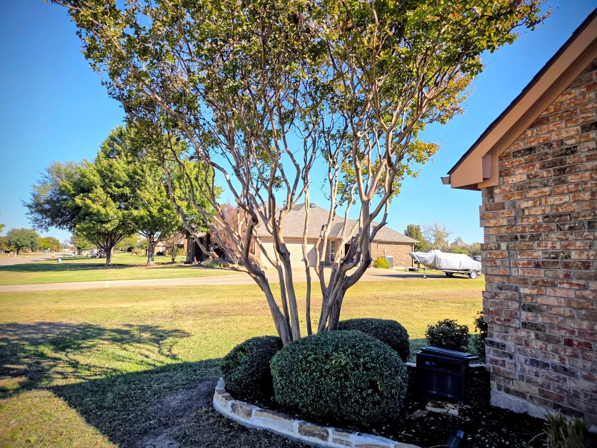  for Lavon Lawn Plus in Lavon, TX