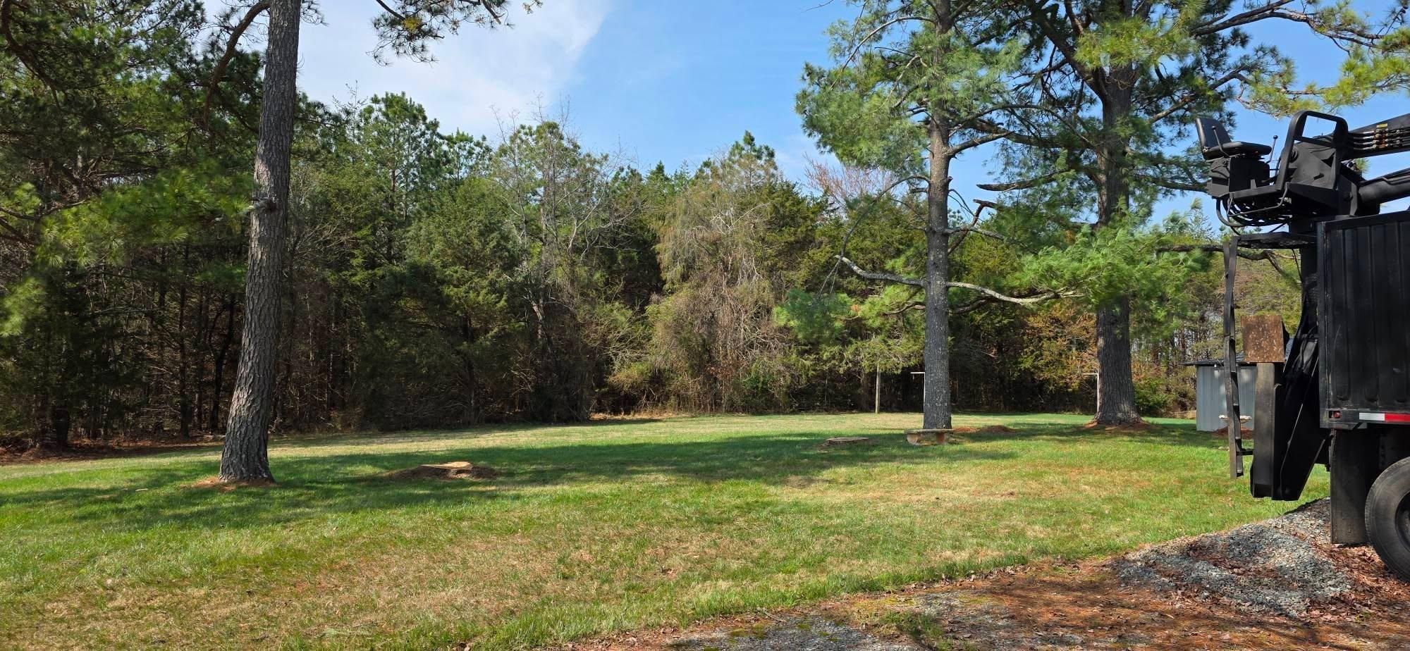  for Hamlett Tree Service LLC in Clover, VA