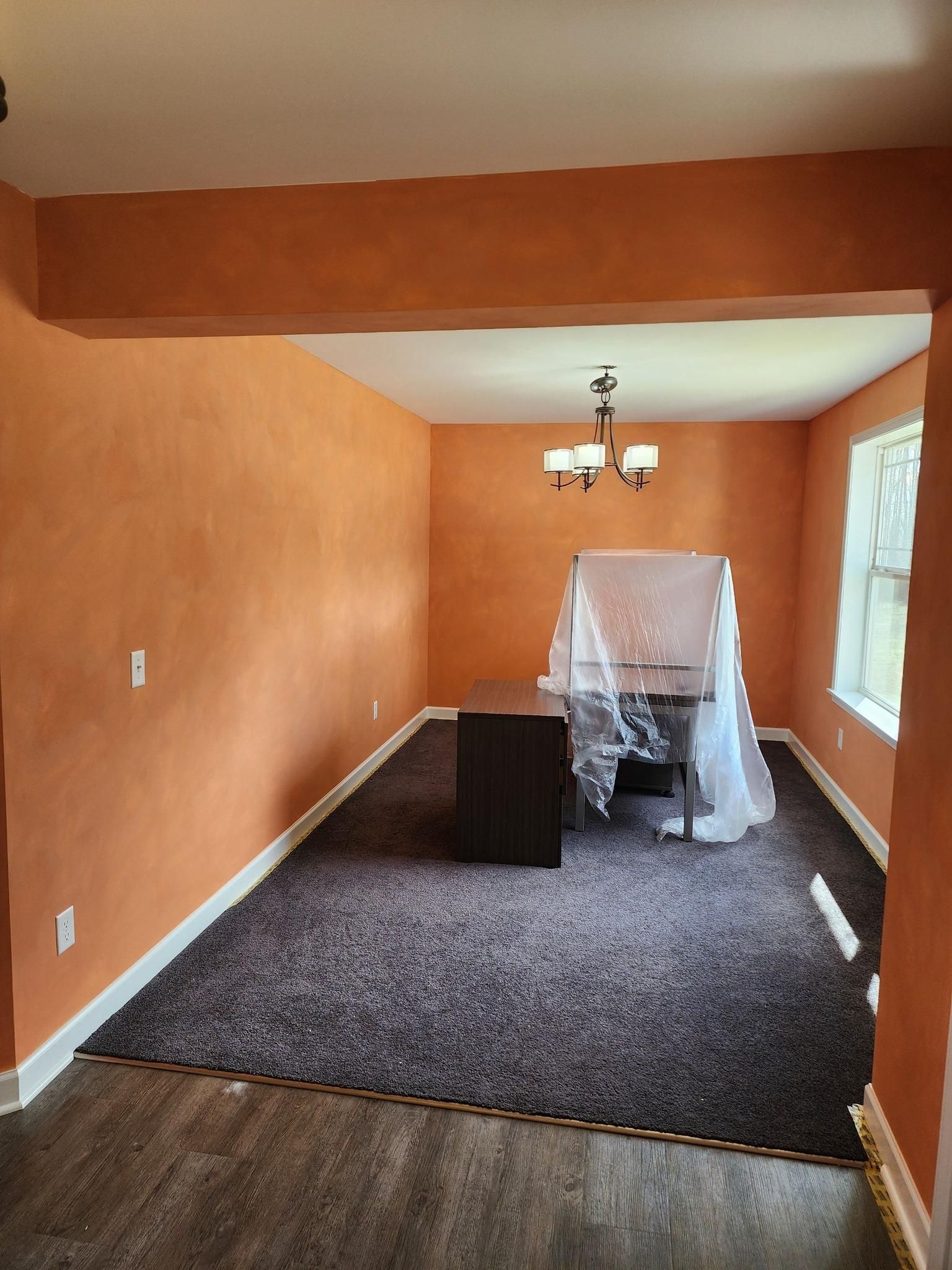  for Apex Painting in Wayne County, MI