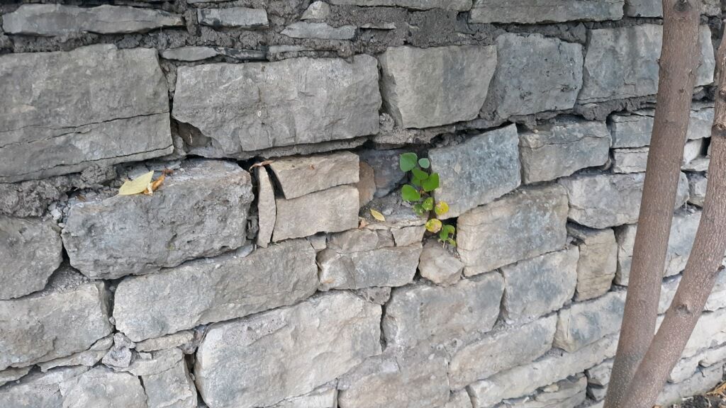  for To the Point Masonry in Spring Valley, WI