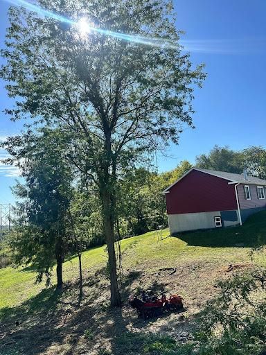 All Photos for Cross Family Tree Service in Kearney, MO