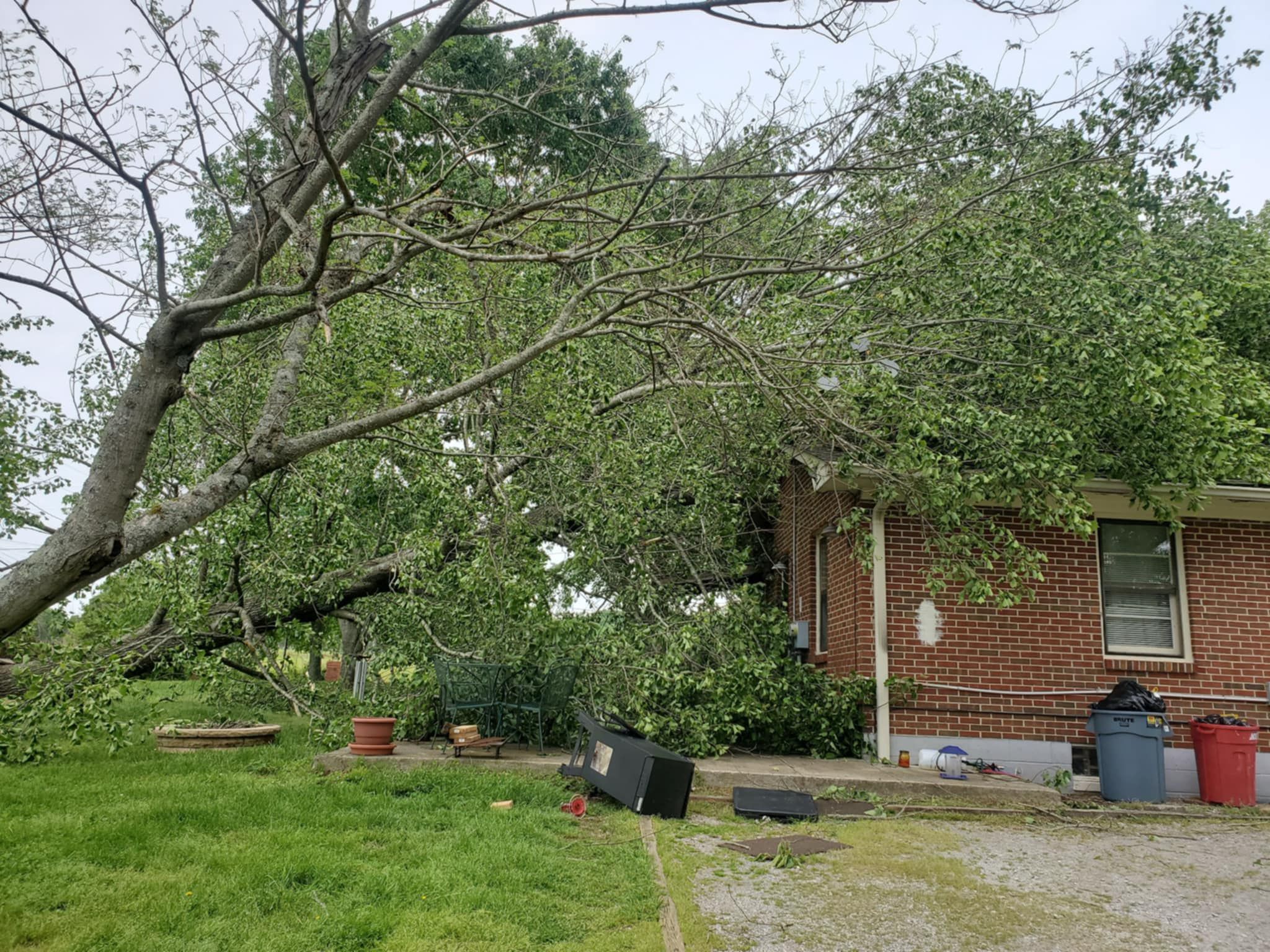  for Jace’s Tree & Stump Removal in Franklin, TN