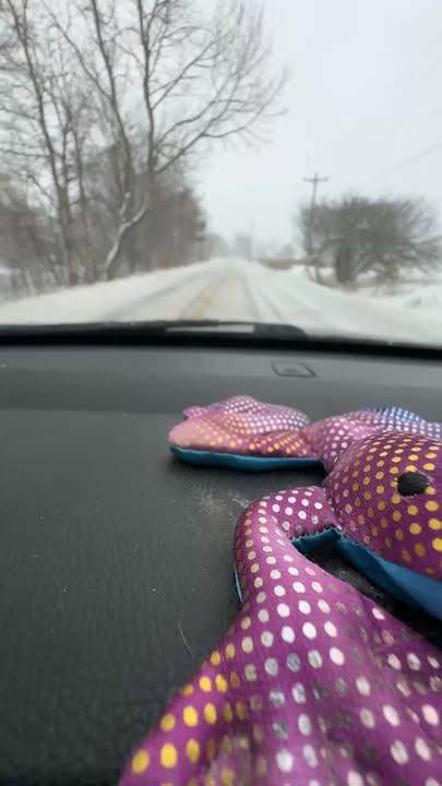  for The Dailey Daisy in Hardwick, VT