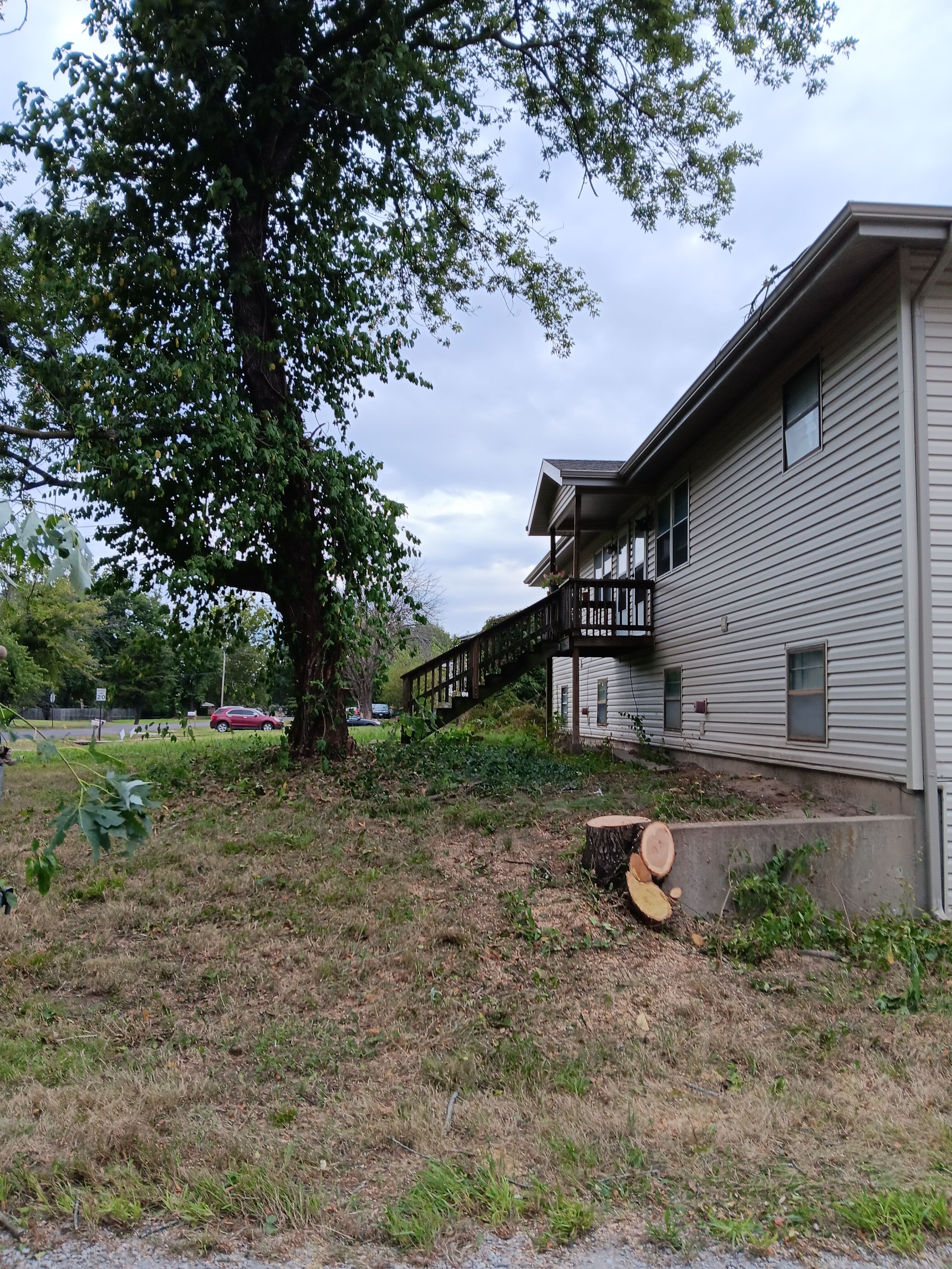  for Sky High Tree Service in Columbia, MO