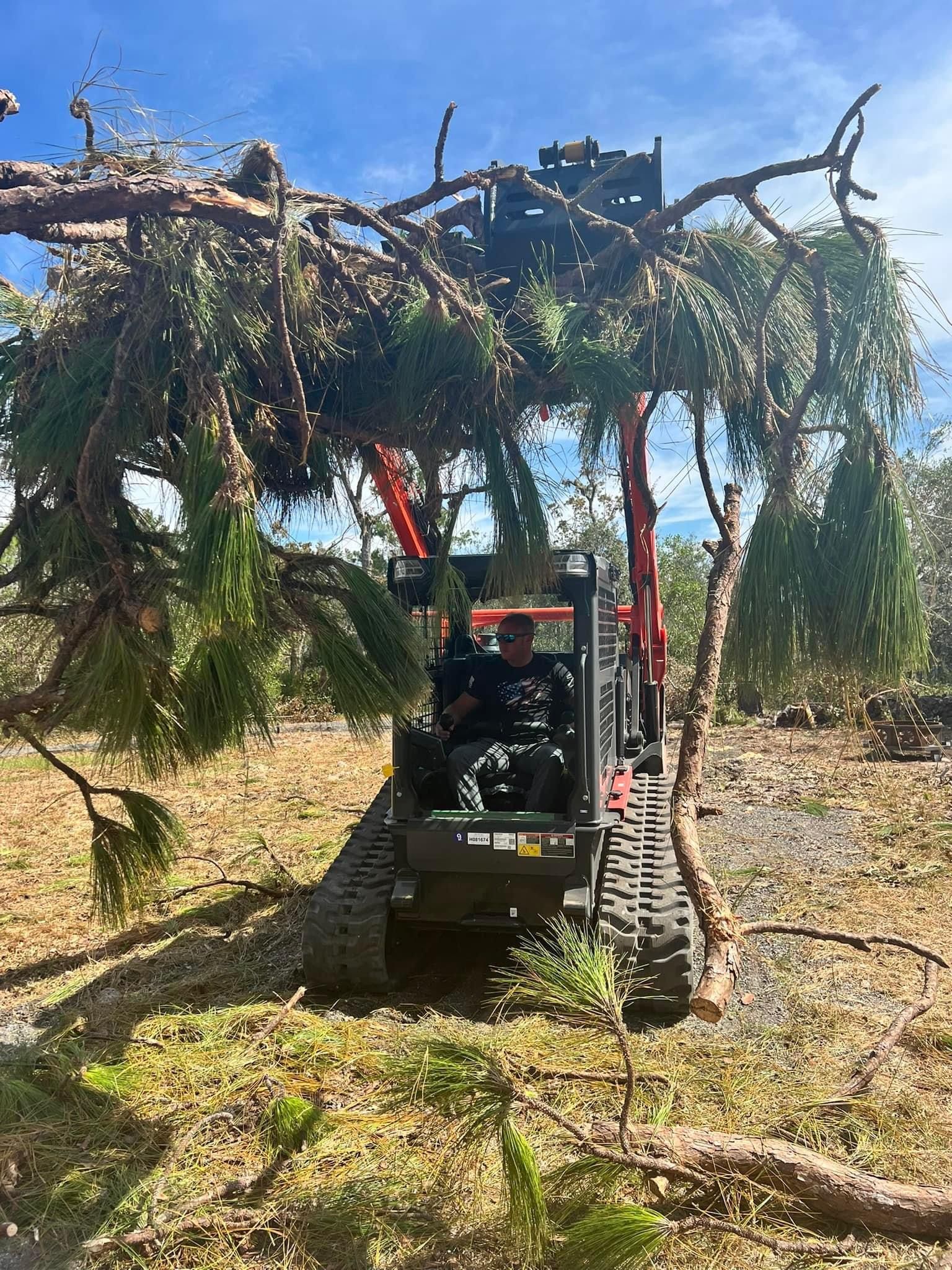 for Family Roots Landworks and Debris Removal in Newberry, FL