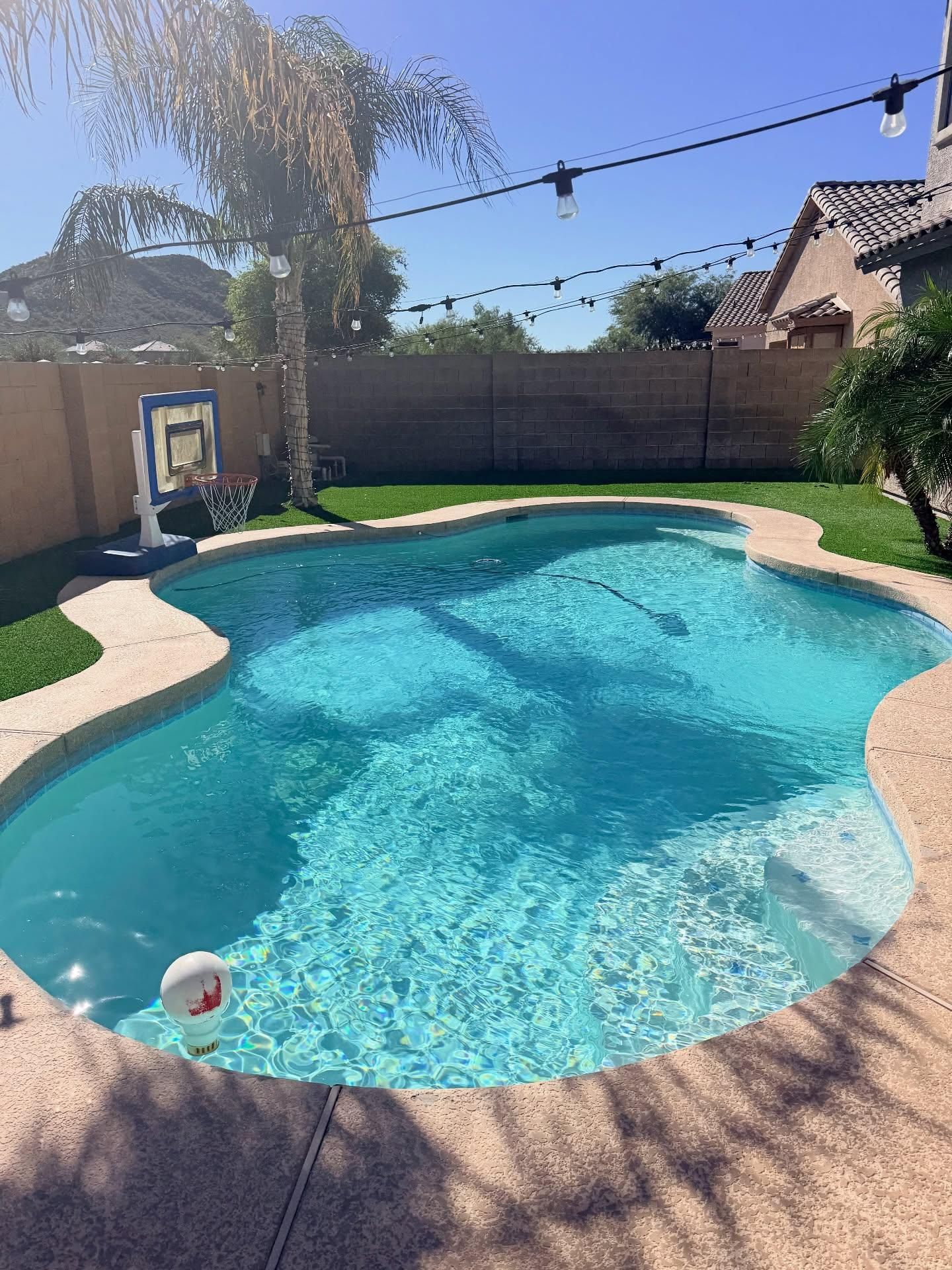 All Photos for Trublu Pool and Spa in Queen Creek, AZ