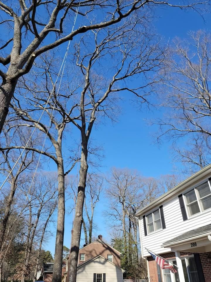  for Integrity Tree and Landscaping in Lynchburg, VA