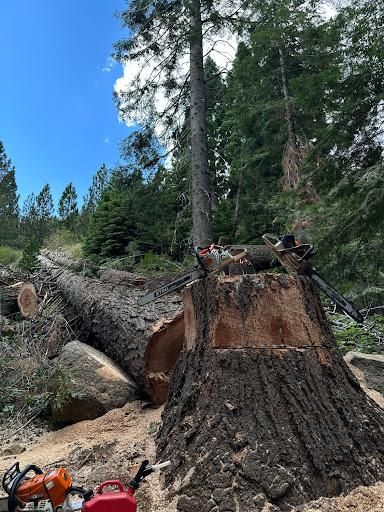 All Photos for Tyco Forest Management in Placerville, CA