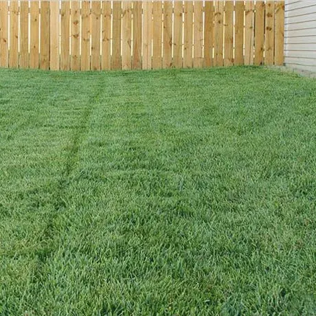  for Jacks Lawn & Landscape LLC  in Hastings, NE