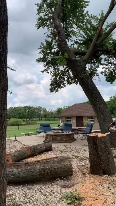  for Marks Tree Service in Fort Worth, TX